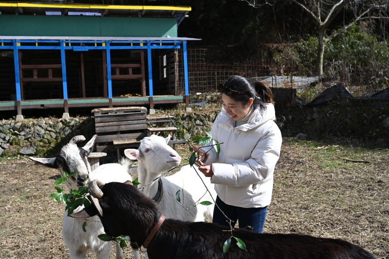 動物好き必見】個性派ヤギとふれあい体験🐐人懐っこさ120％！笑顔
