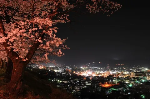 見晴らしの丘