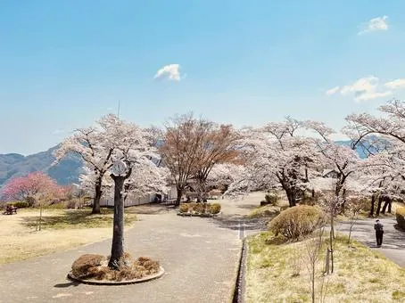 美の山公園