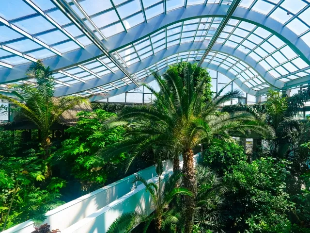 熱帯環境植物館