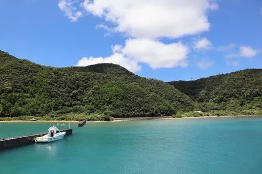 加計呂麻島
