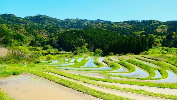 大山千枚田