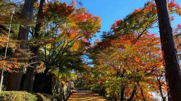 高野山