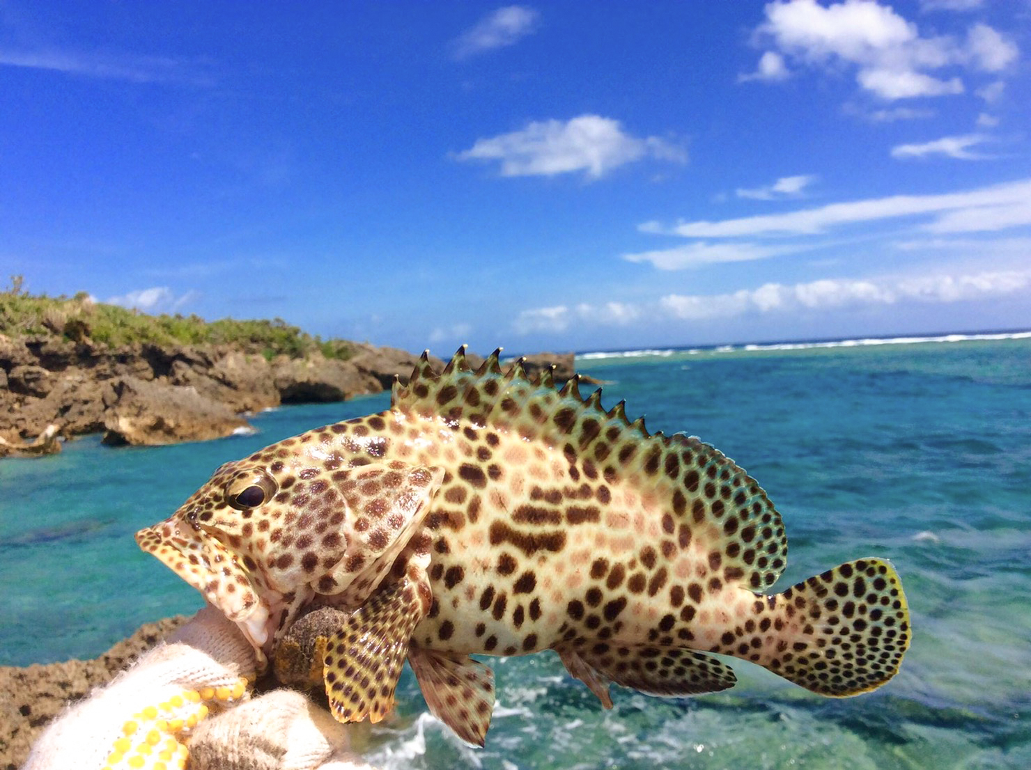 【うるま】穴場な離島でキャンプ⛺
～釣った魚をダンボールオーブンで料理～＜キャンプ道具・釣り道具込み＞ / 透明度抜群の海でフィッシング🎣 釣った魚は焼いて食べよ🐡