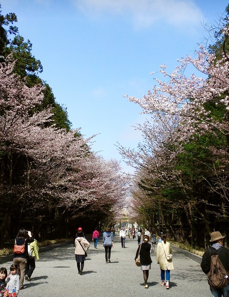 北海道神宮を散策する