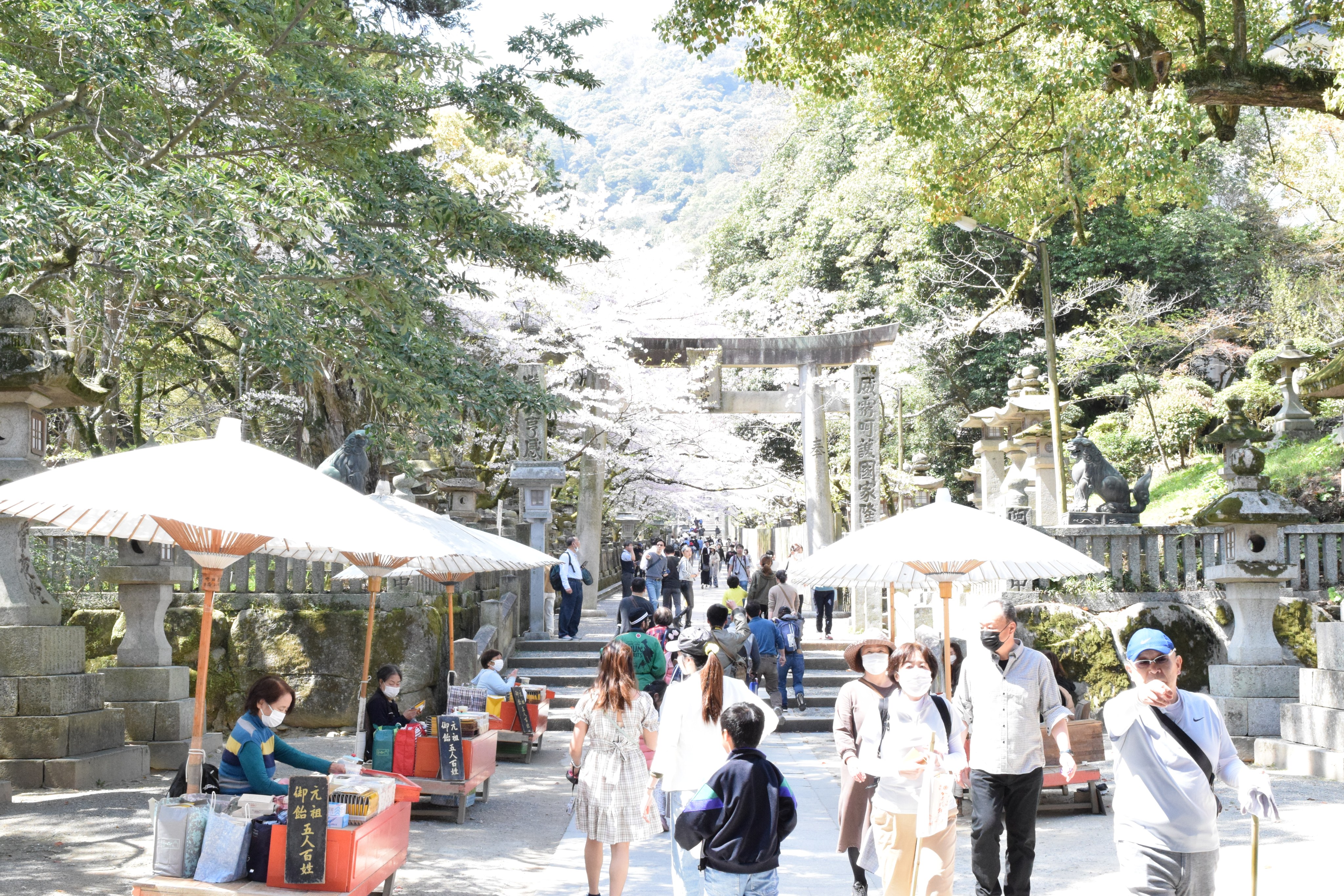 【香川/琴平】聞いて歩けば琴平がもっと好きになる。
あなたも小さな観光大使！池ちゃんの琴平まるわかりまち歩き / 【池ちゃんと町歩き】観光マップにない琴平へ！！