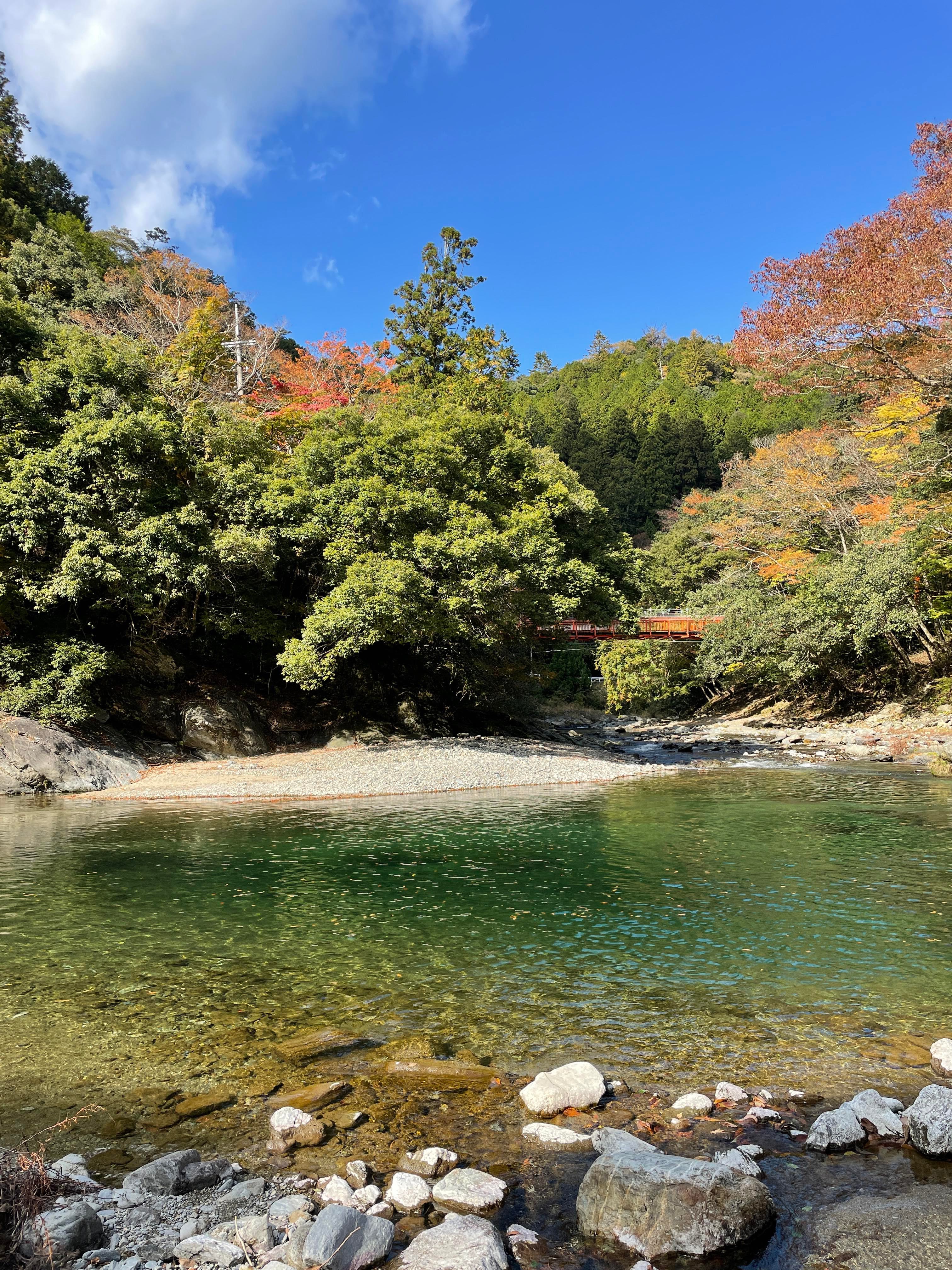 【6名まで一律5.6万円！】釜炊きごはんとテントサウナ。極上の星空に囲まれた東吉野のゲストハウス / 透明度抜群の川に飛び込む極上のテントサウナ体験