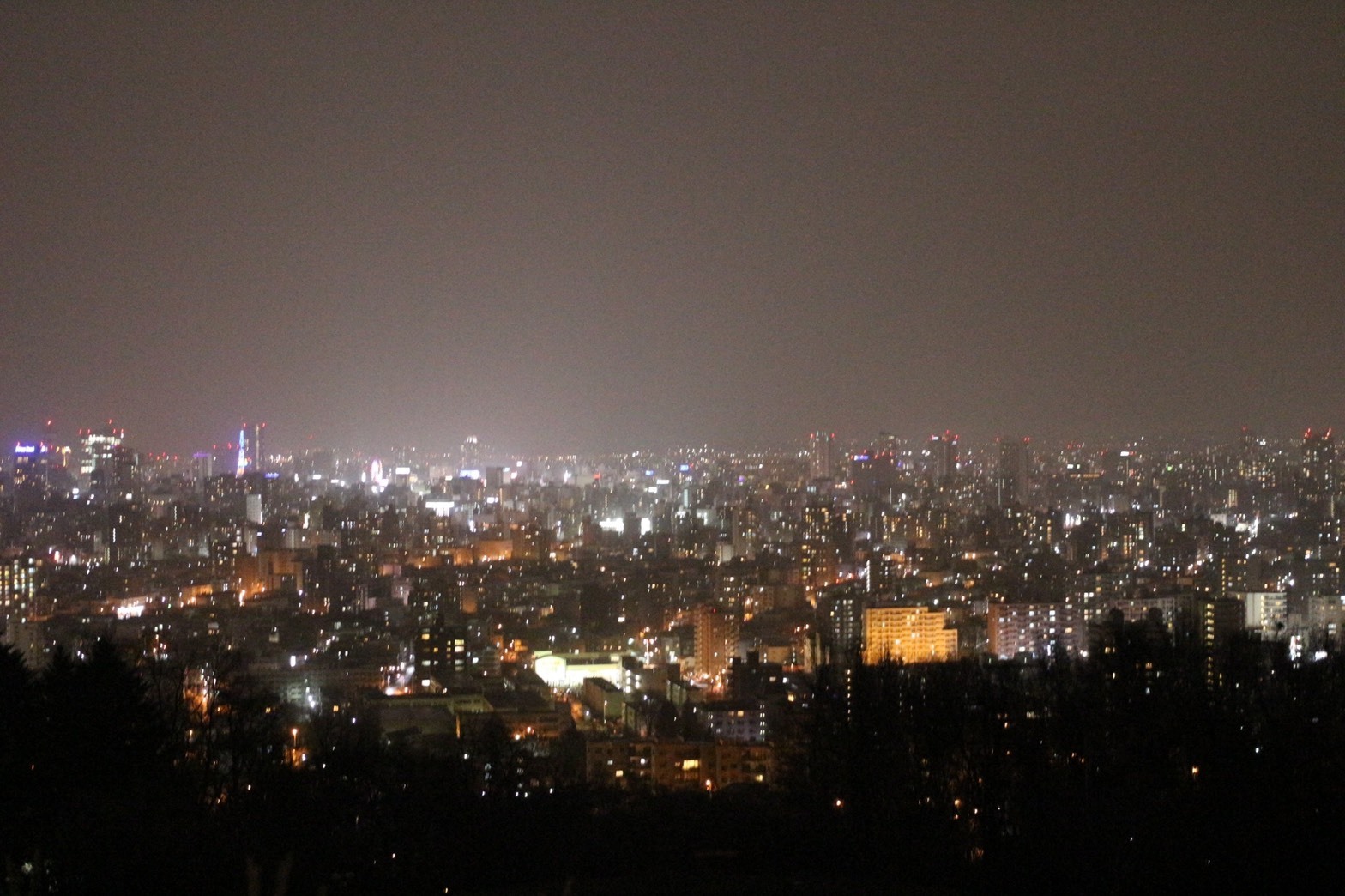 Taking in Otaru's night view