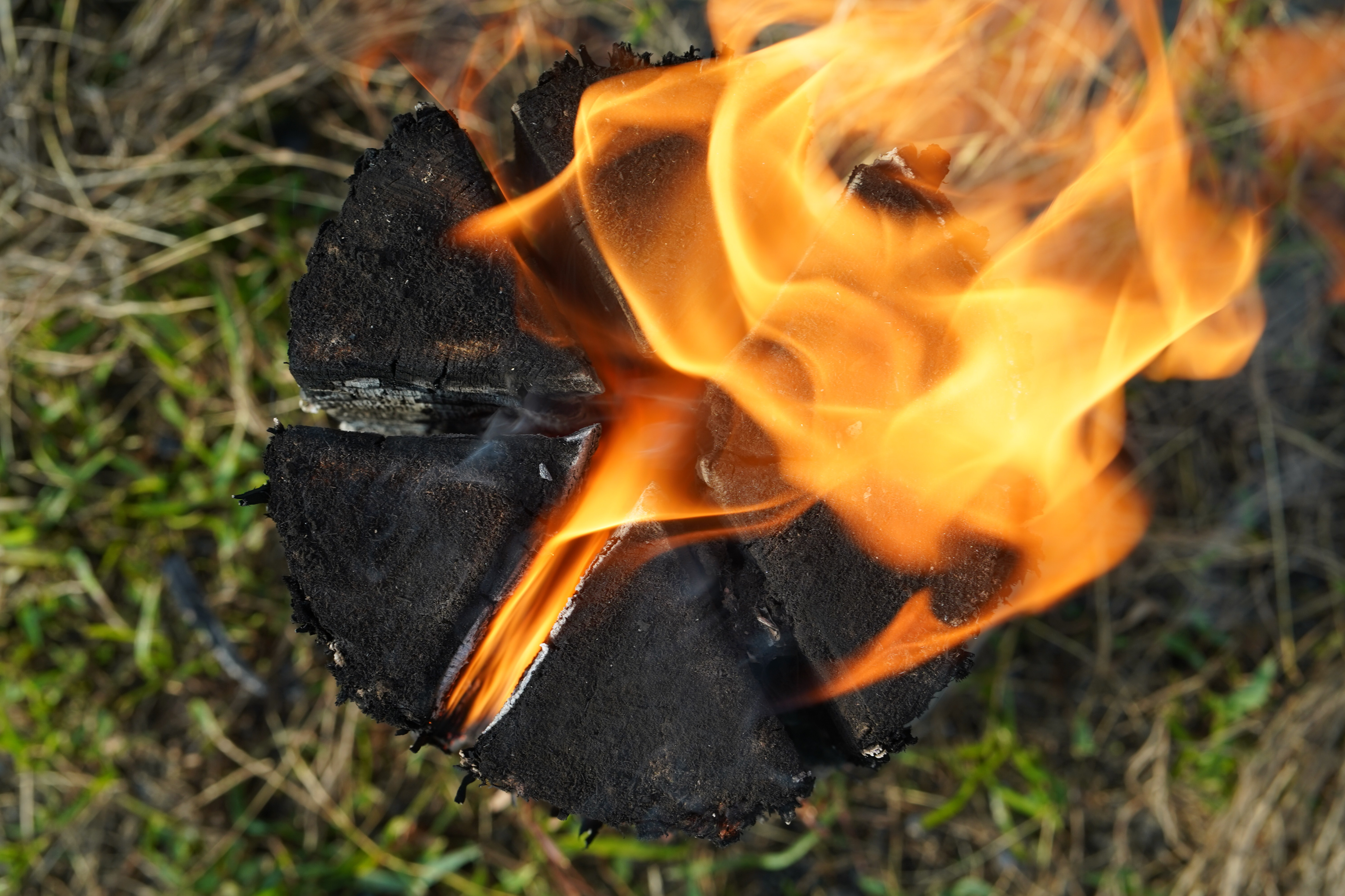 A soothing trip switched off from screens: a Swedish-torch campfire and cypress aroma / Skillet dishes and a one-plate meal over a crackling Swedish torch