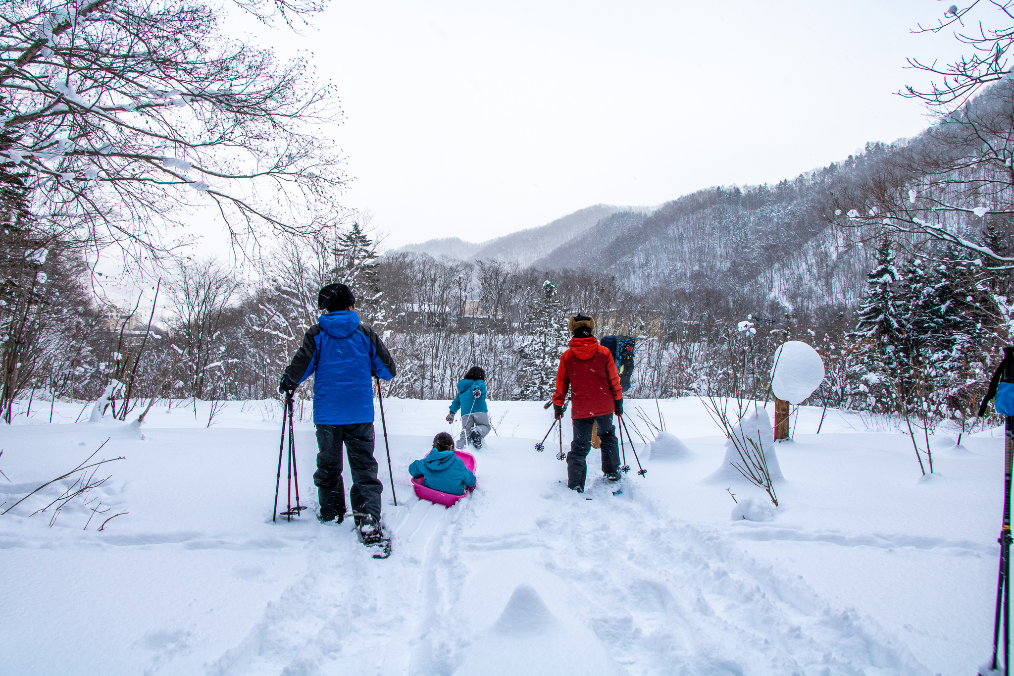五感を開いて、森を遊ぶ。
一面の白銀世界をひとり占めして
子供の探求心をくすぐる旅 / 見て、聞いて、踏んで、触って、五感で楽しむ。
スノーシューで好奇心に火が付く森探検
