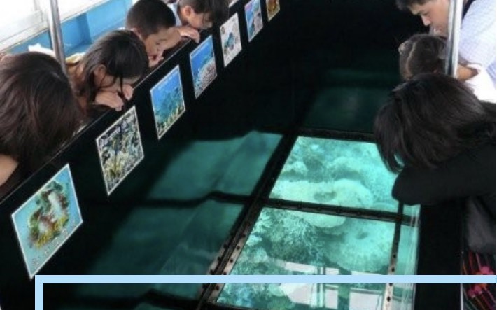 【石垣島】まるで自然の水族館！？
水中の絶景を楽しもう
＜グラスボート代込み＞ / グラスボートから見る🚢
色鮮やかなサンゴや熱帯魚🐟