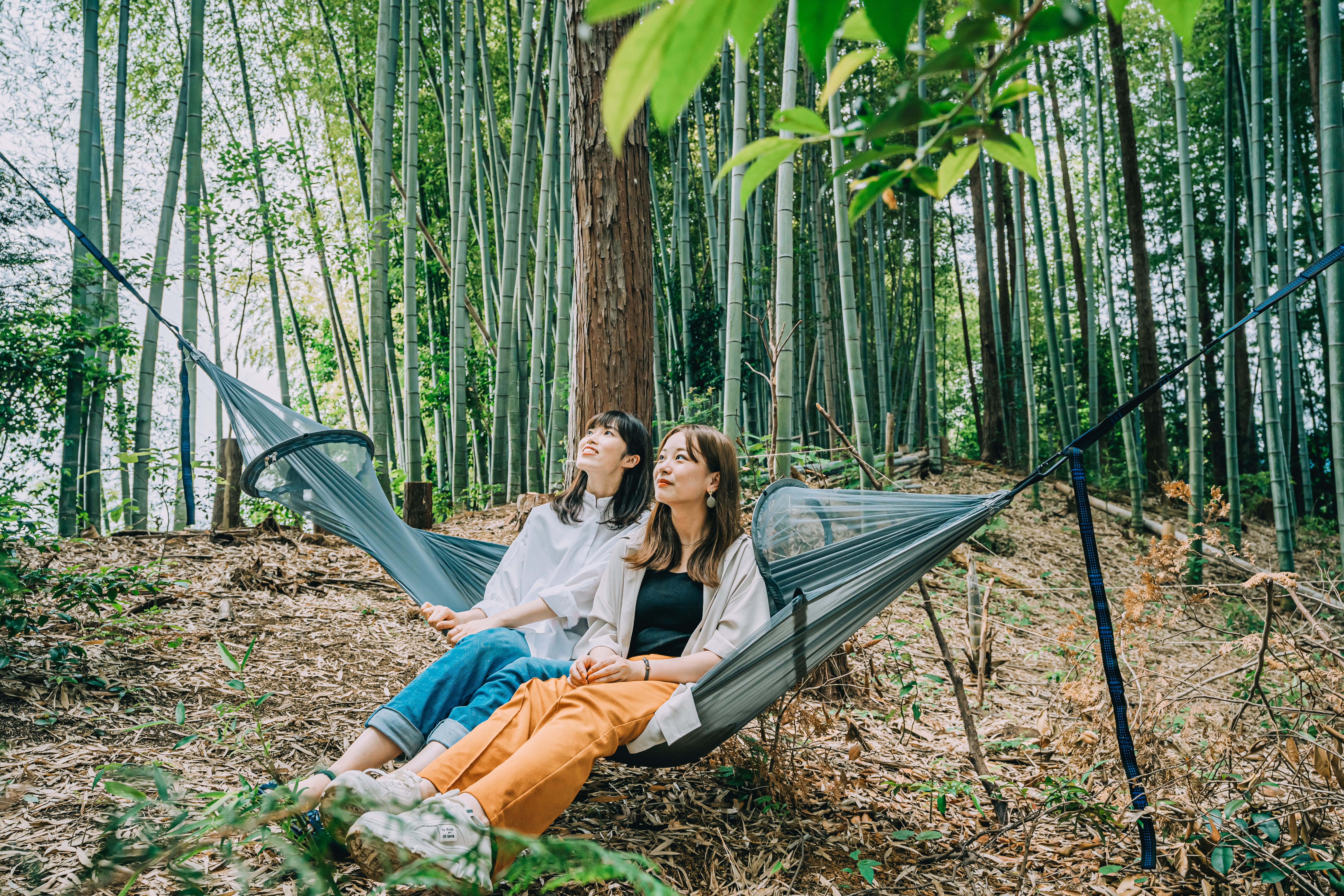 A blissful retreat in the arms of nature: forest bathing and a Swedish torch / Digital detox: a forest retreat guided by a forest bathing facilitator