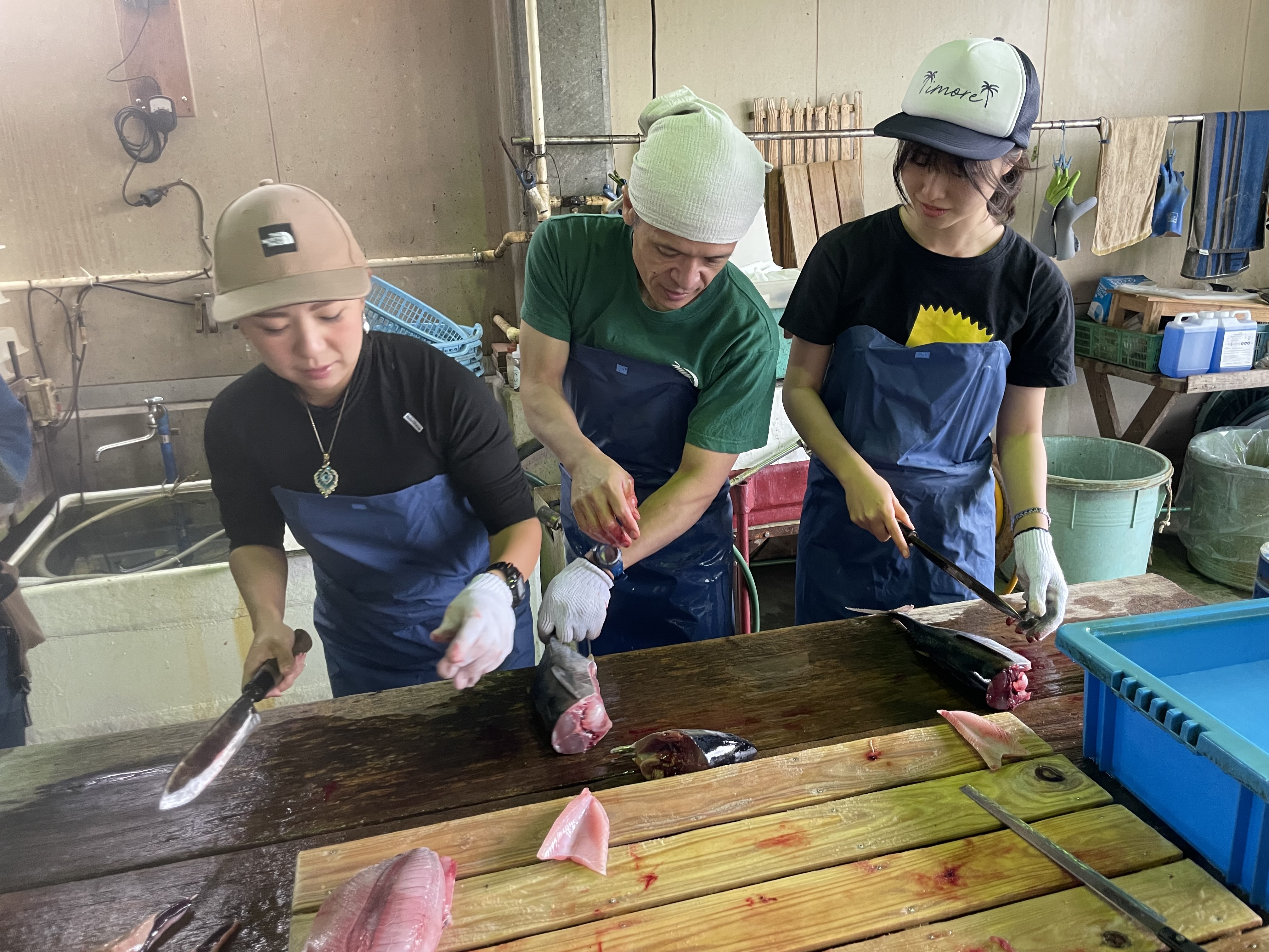 【奄美】世界最速⁉ その日にあがったカツオ・マグロをさばこう
＜コース料理付き＞ / 自分でさばいた魚を調理しよう