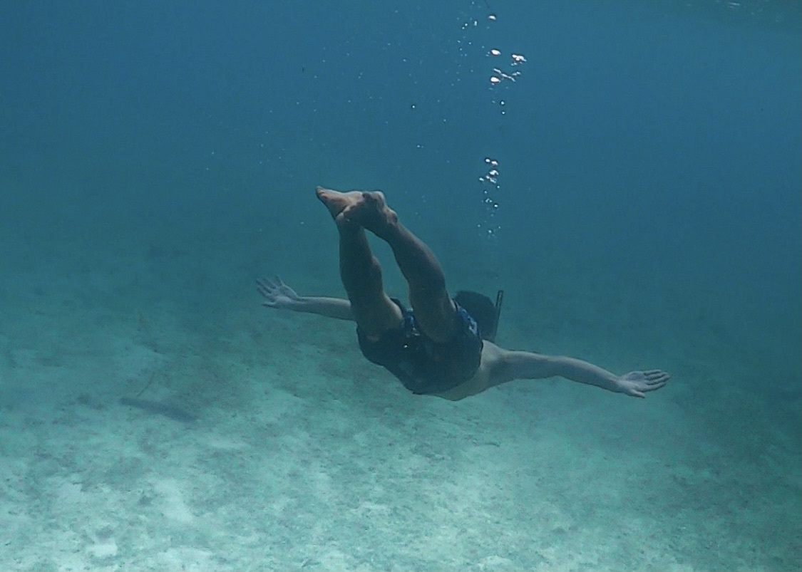 Kouri Island: underwater photos and snorkeling / Snorkeling with fish
