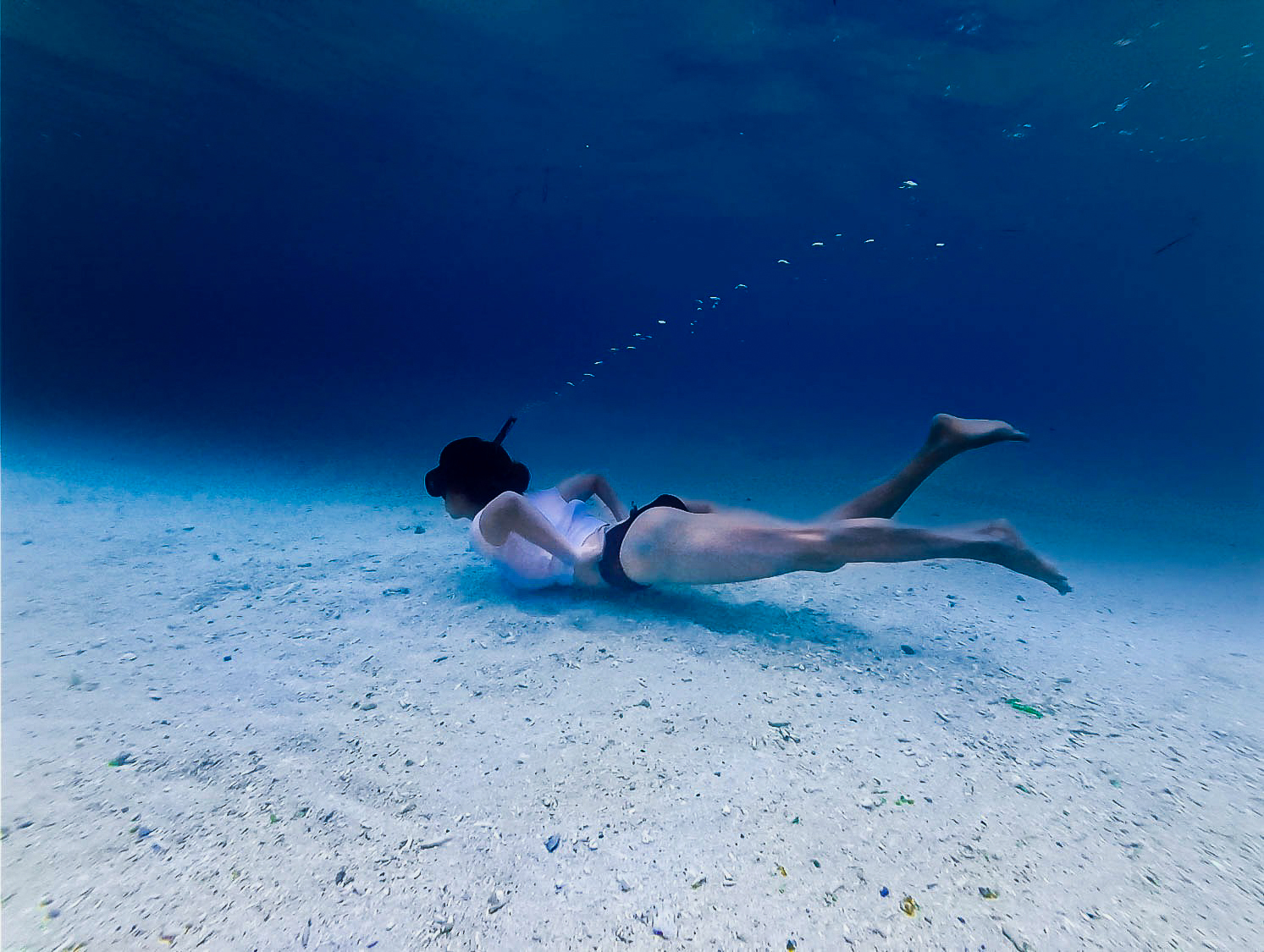 Underwater photos in an emerald-green sea