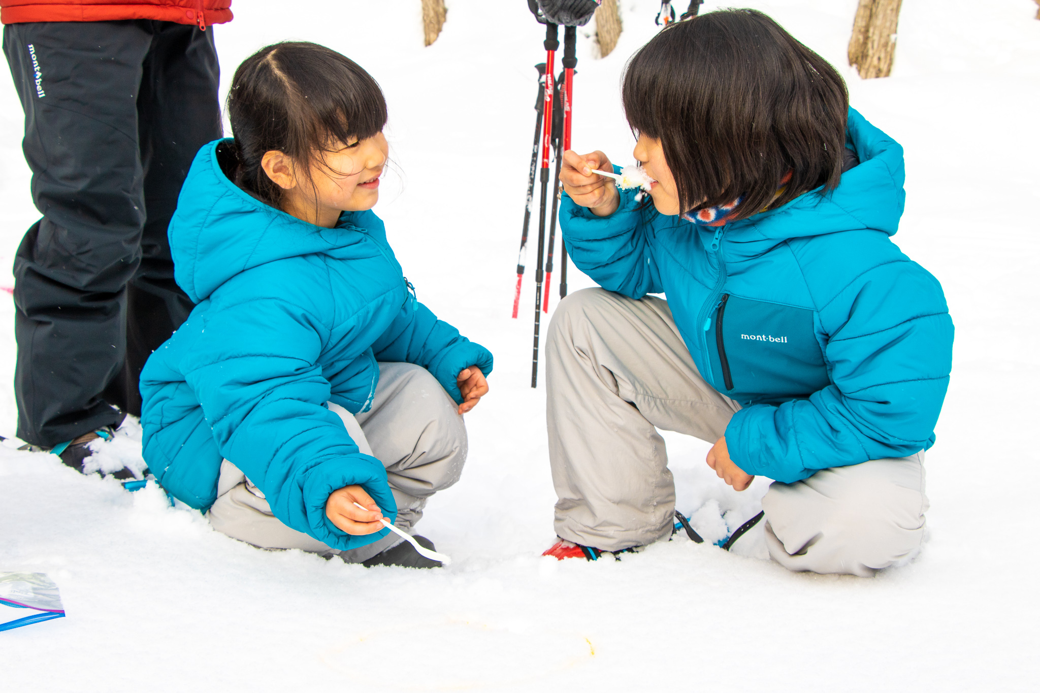 五感を開いて、森を遊ぶ。
一面の白銀世界をひとり占めして
子供の探求心をくすぐる旅 / 見て、聞いて、踏んで、触って、五感で楽しむ。
スノーシューで好奇心に火が付く森探検