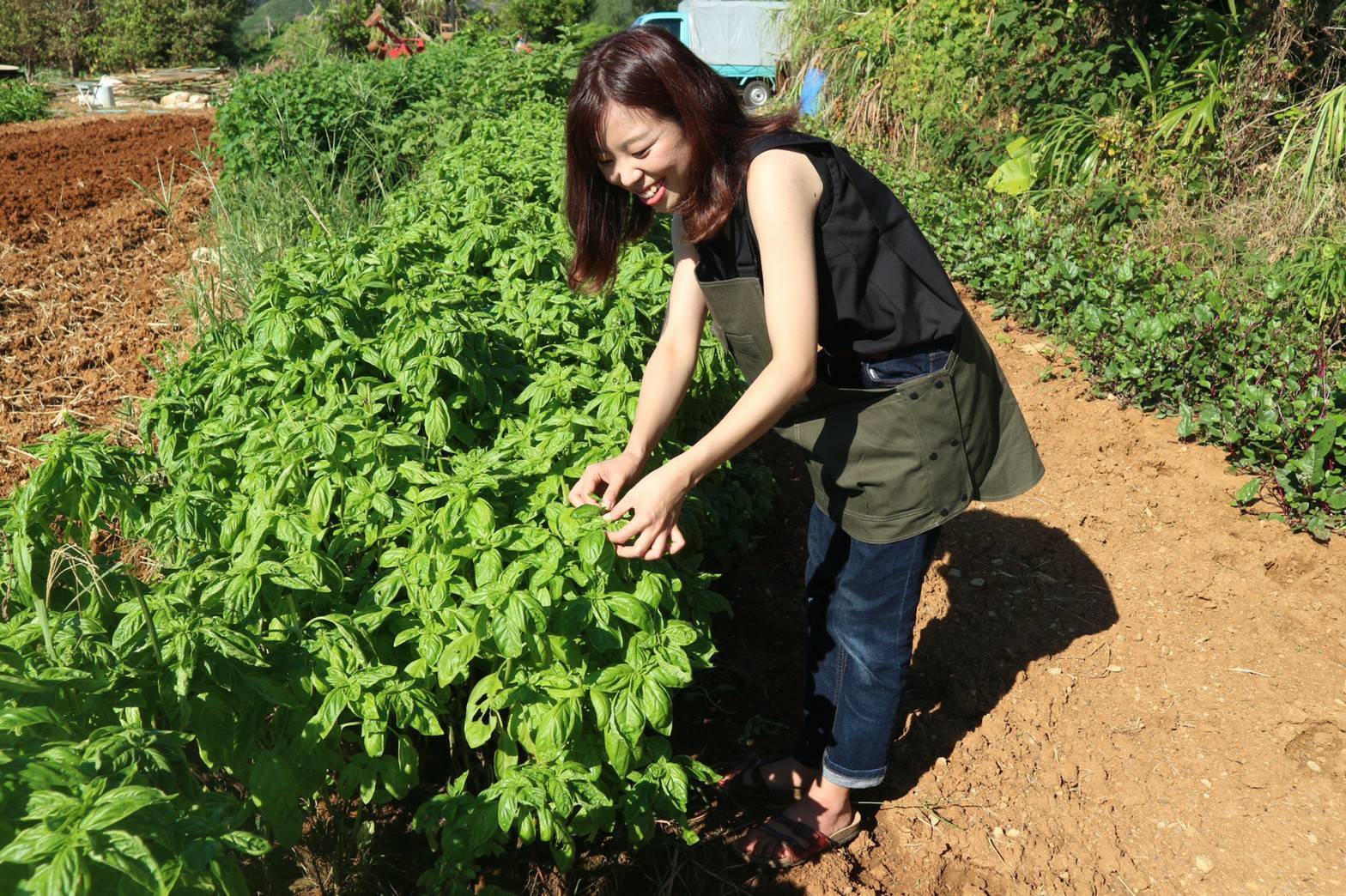 【奄美】旬の無農薬野菜を収穫＆採れたて野菜の朝ごはん
＜道具レンタル・朝ごはん込み＞ / 旬の野菜の収穫・植え付けをしよう