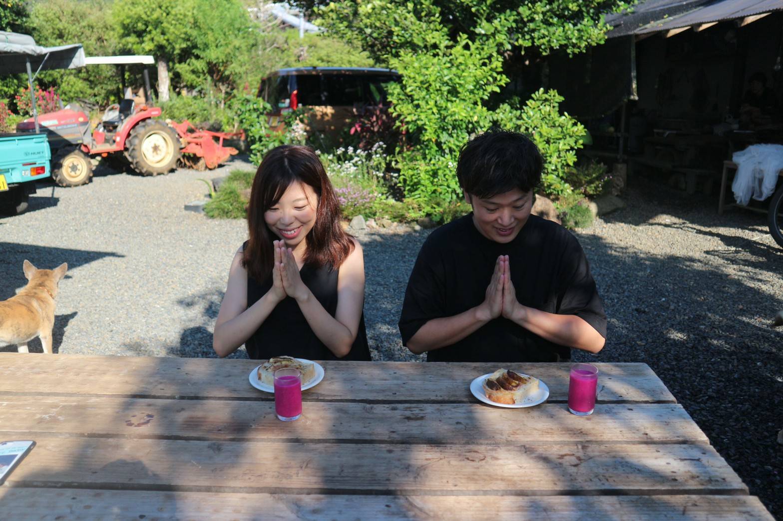 【奄美】旬の無農薬野菜を収穫＆採れたて野菜の朝ごはん
＜道具レンタル・朝ごはん込み＞ / 採れたて野菜で朝ごはんを作ろう