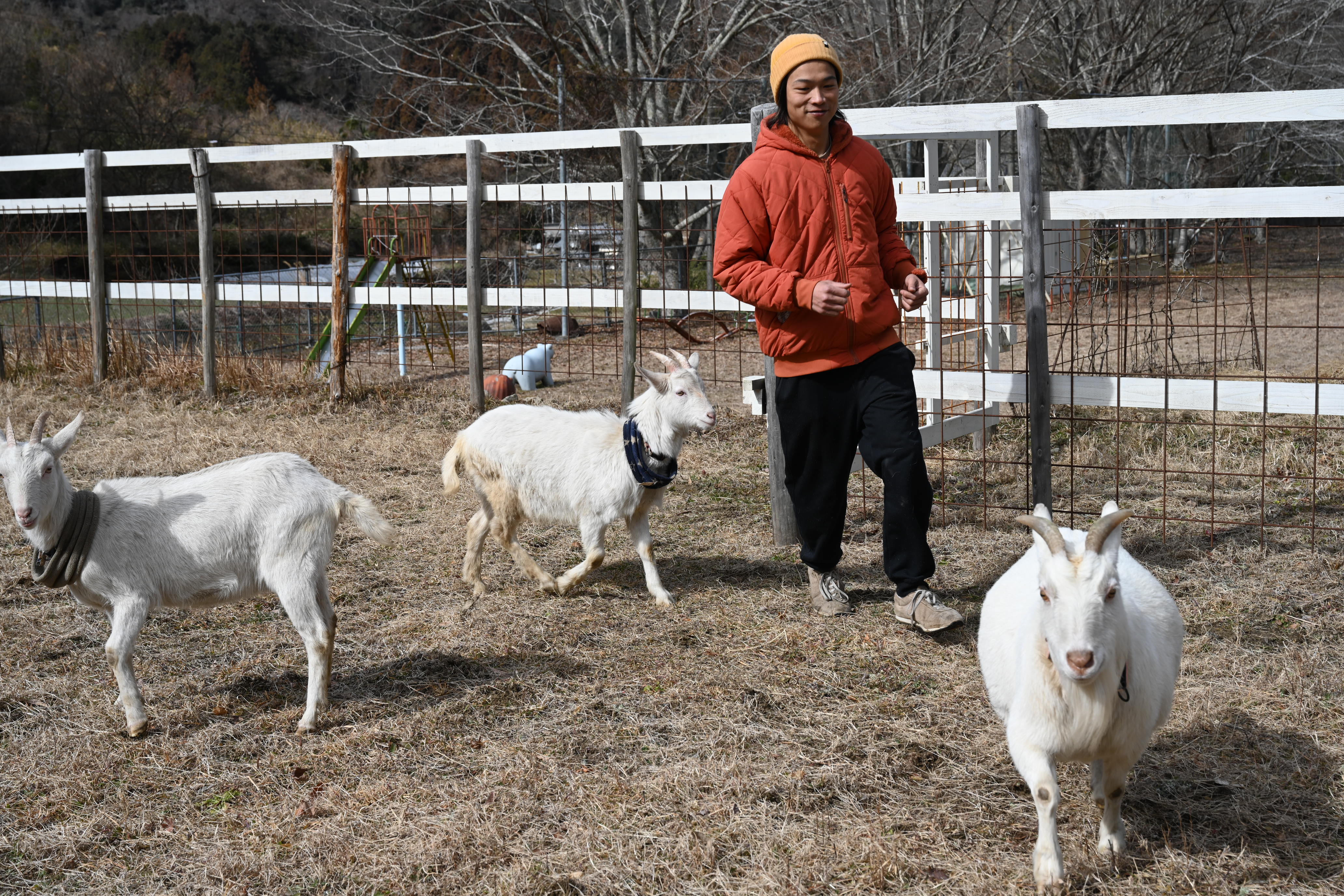 【動物好き必見】個性派ヤギとふれあい体験🐐人懐っこさ120％！笑顔あふれる癒しの時間 / 甘えん坊もツンデレも大集合のふれあい体験