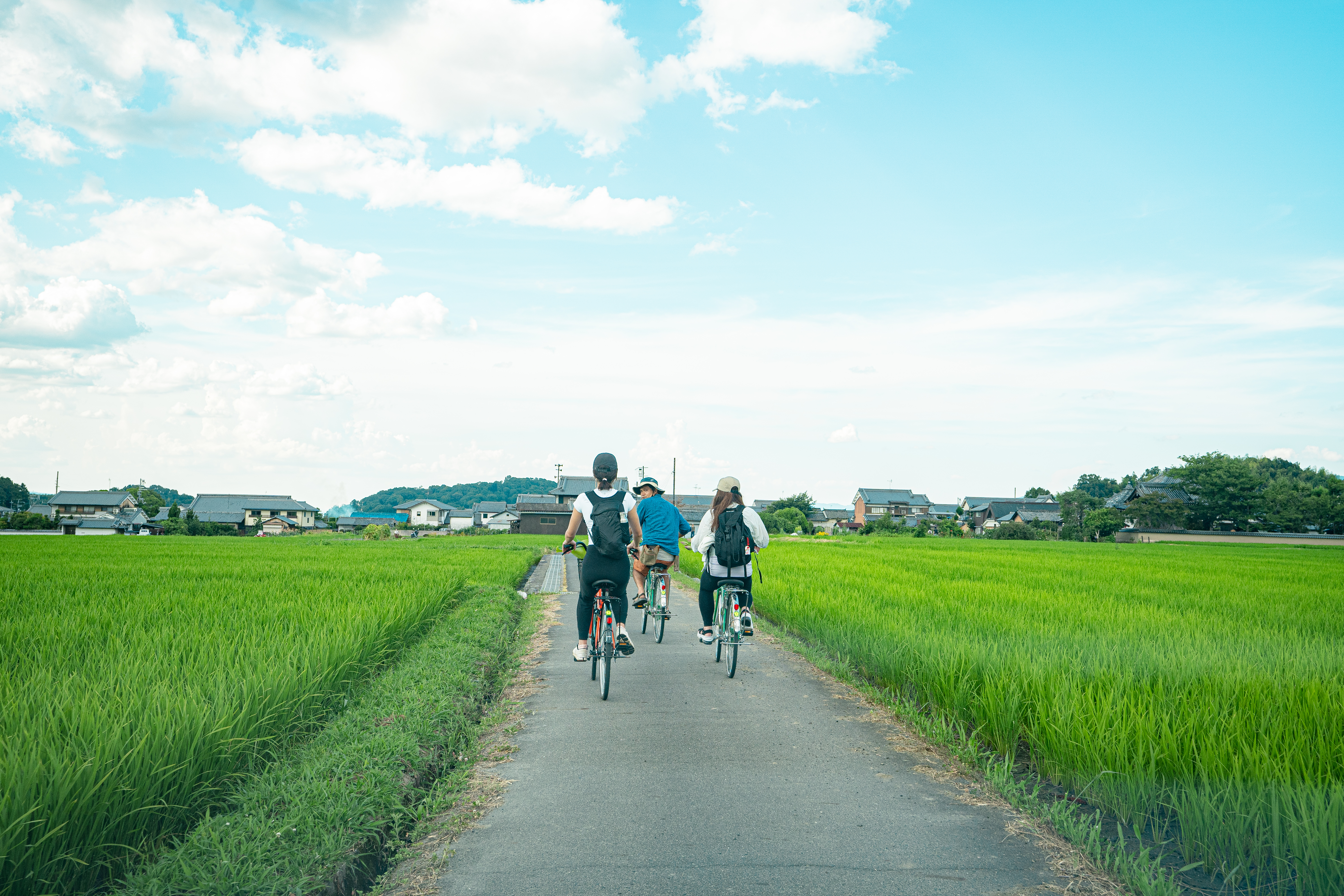 オーガニック農家の暮らしに溶け込む
里山流の贅沢スローライフ旅 / 里山の暮らしを体感！
とれたて食材の発酵調理など
オーダーメイドでご提案