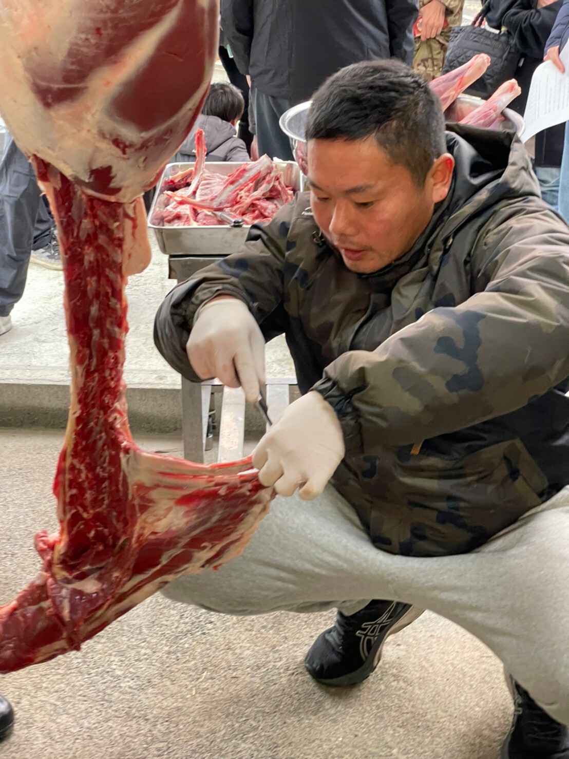 【ジビエの達人を貸し切り】
狩猟体験と絶品ジビエ料理でいのちが身近になる旅〈1泊2日〉 / ジビエの達人とプライベートで「狩猟体験」
猟が身近にある暮らしでいのちを体感