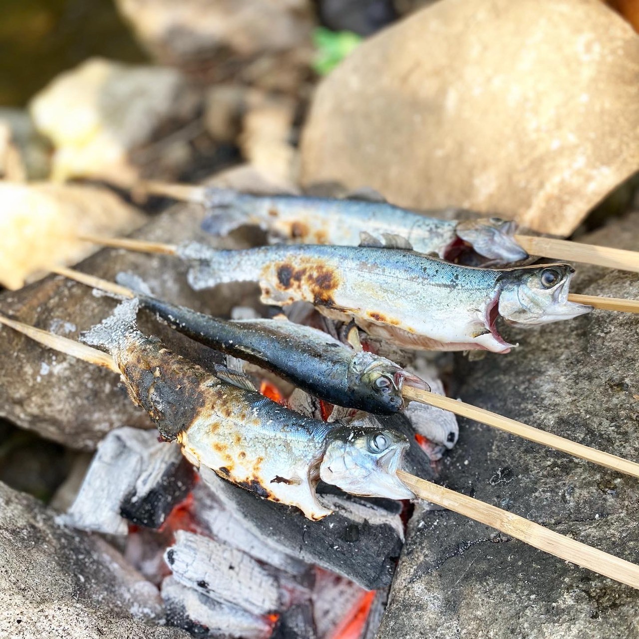 【うるま】穴場な離島でキャンプ⛺
～釣った魚をダンボールオーブンで料理～＜キャンプ道具・釣り道具込み＞ / 透明度抜群の海でフィッシング🎣 釣った魚は焼いて食べよ🐡