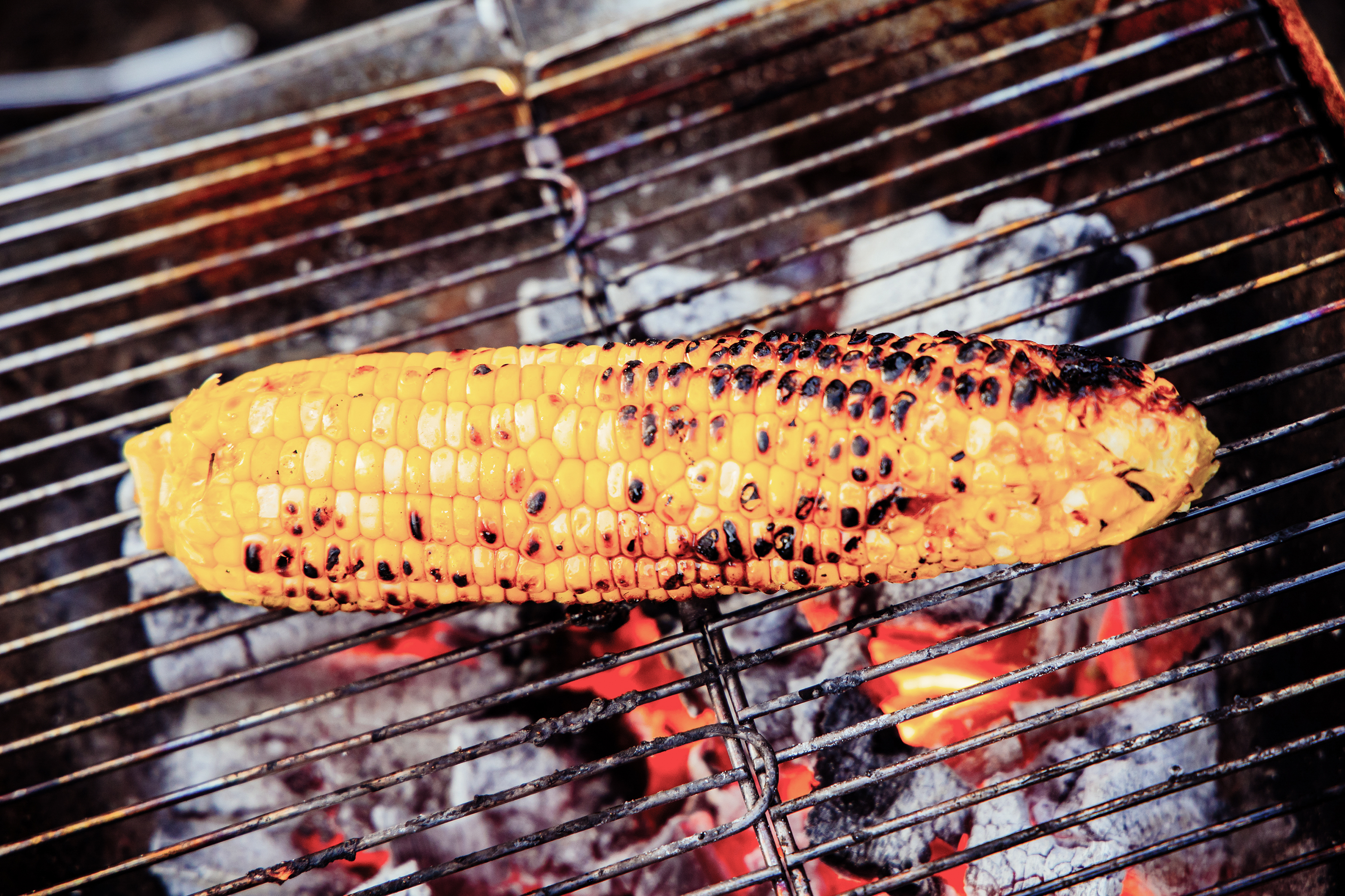 【ニセコ】地元食材で贅沢BBQ＆
ワイルドキャンプ旅
＜キャンプ道具・お土産コーヒー付＞ / 道産の食材で素材の味を感じるBBQ