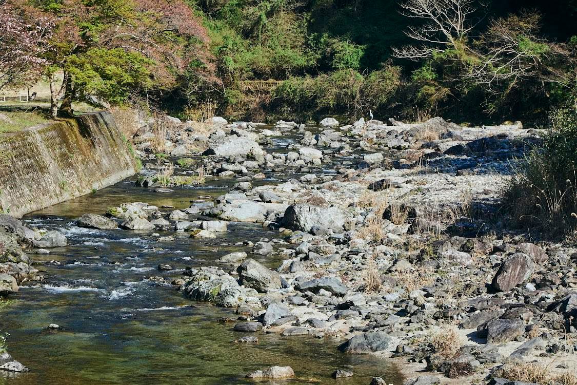 奥吉野村で鮎釣り体験！釣った鮎をその場で塩焼き / 大自然に囲まれて旬の鮎釣り体験！