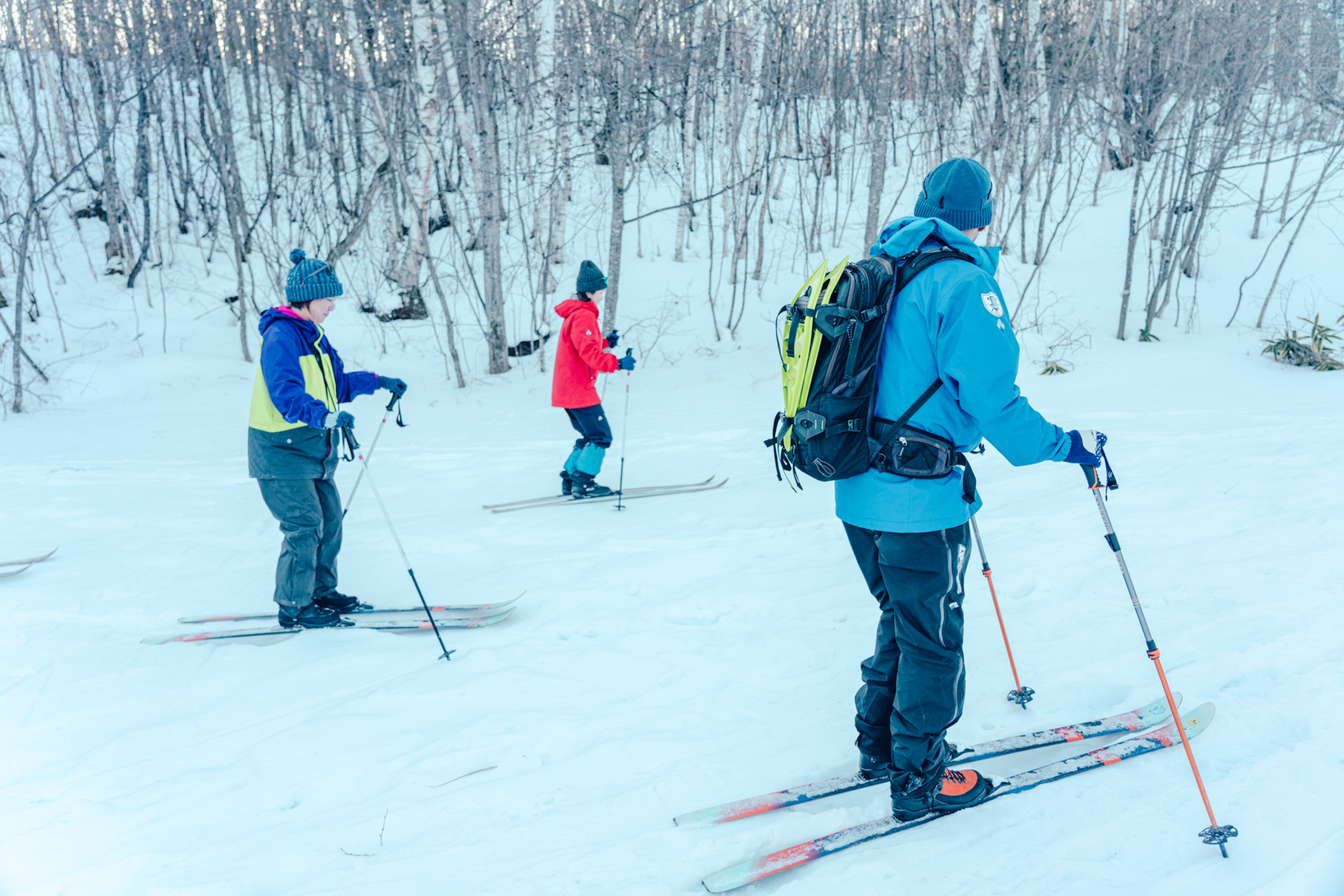 Enjoying nature: nature skiing through the forest / Enjoying the great outdoors of Norikura Kogen with Little Peaks