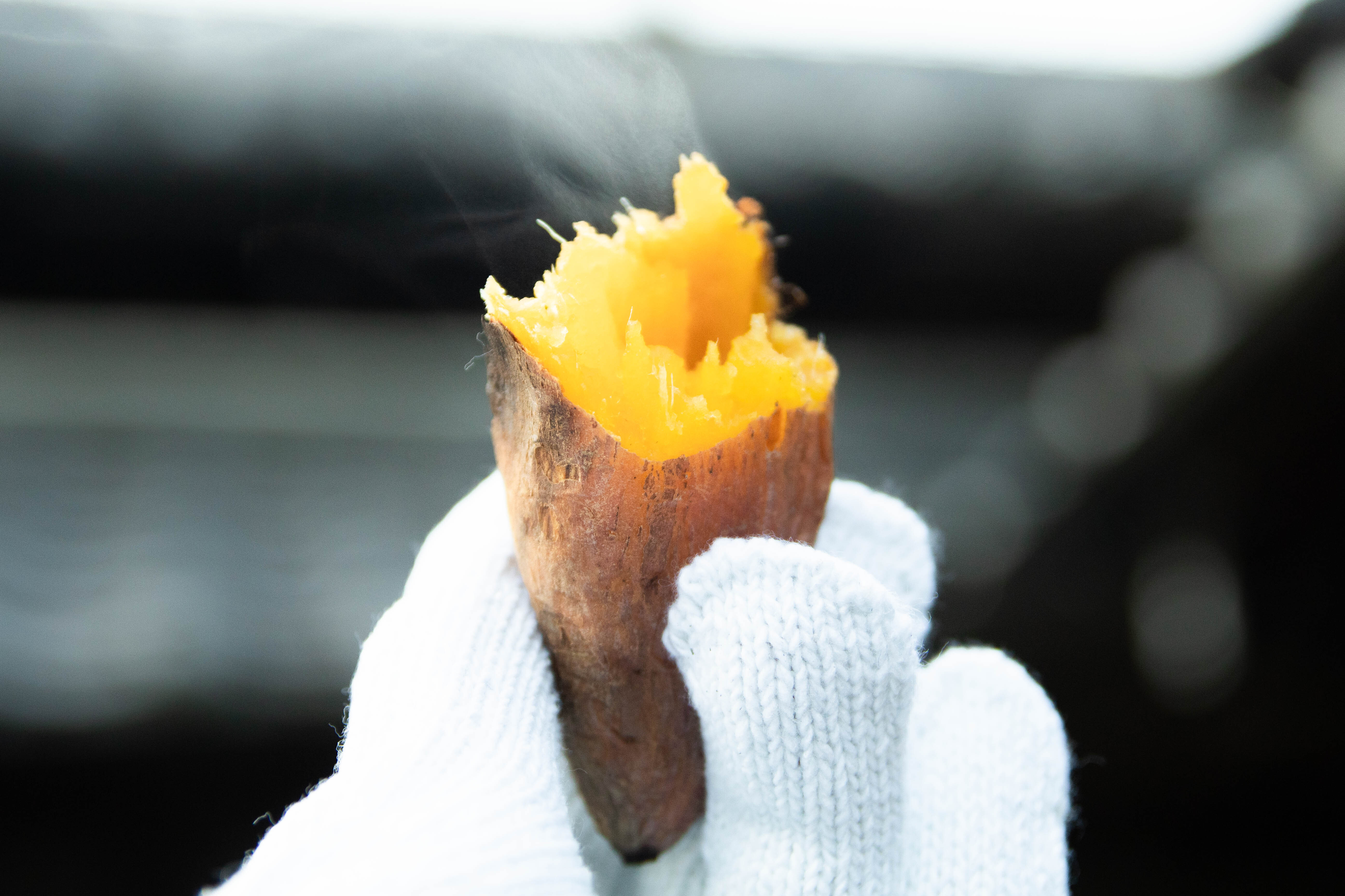 A soothing trip switched off from screens: a Swedish-torch campfire and cypress aroma / Making piping-hot sweet potatoes around the campfire