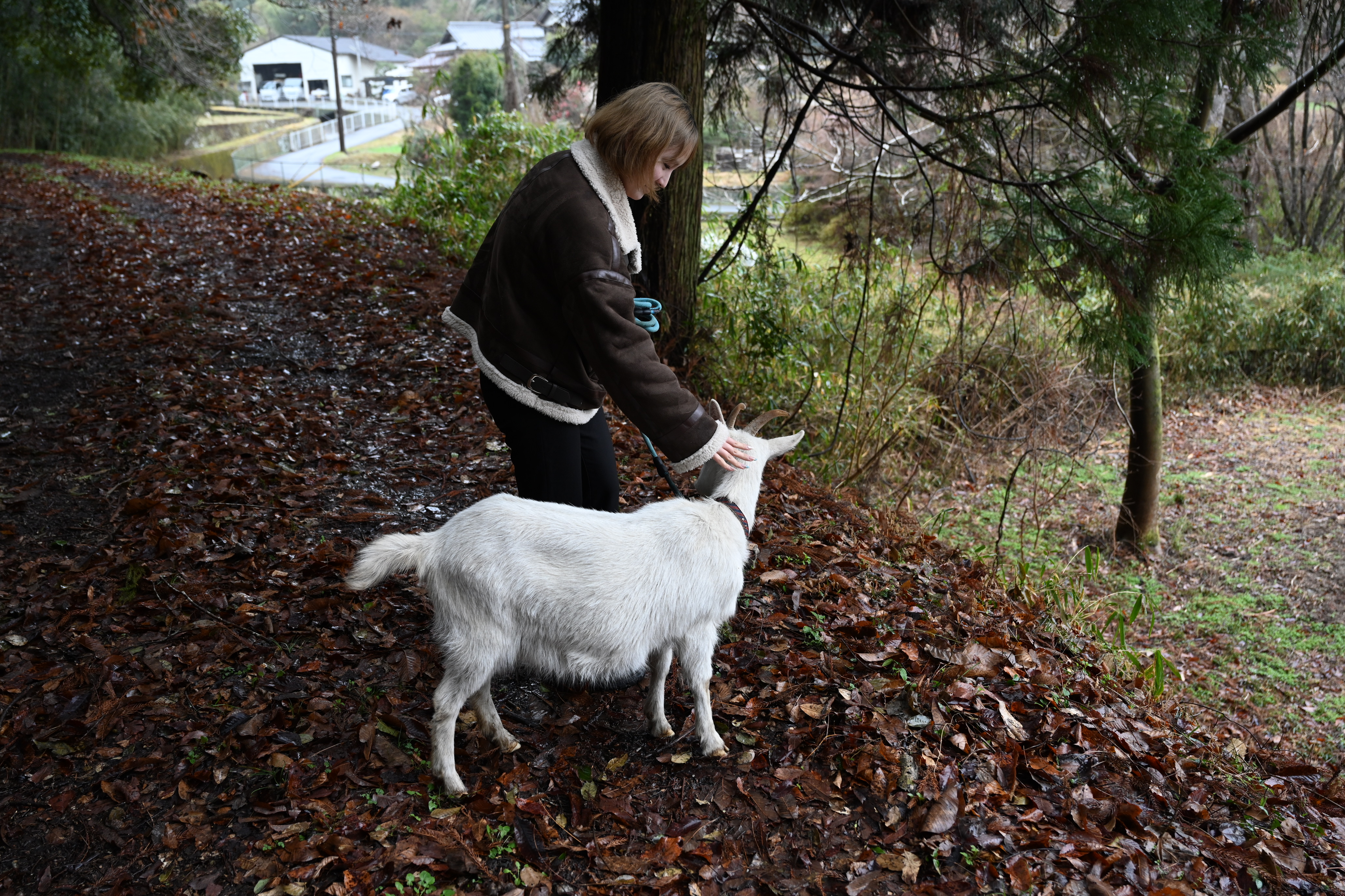 【動物好き必見】個性派ヤギとふれあい体験🐐人懐っこさ120％！笑顔あふれる癒しの時間 / のんびりヤギと一緒にお散歩してみよう！