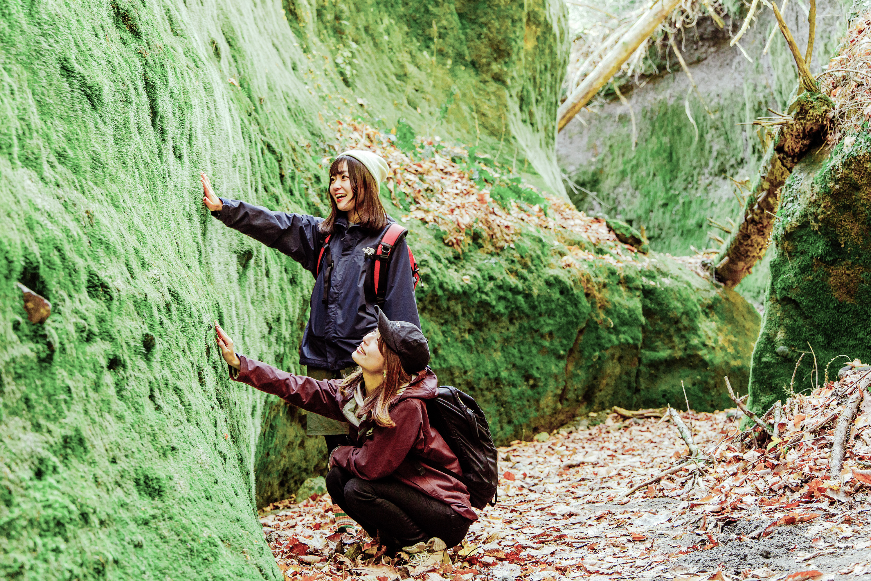 Off the beaten path to the moss corridor