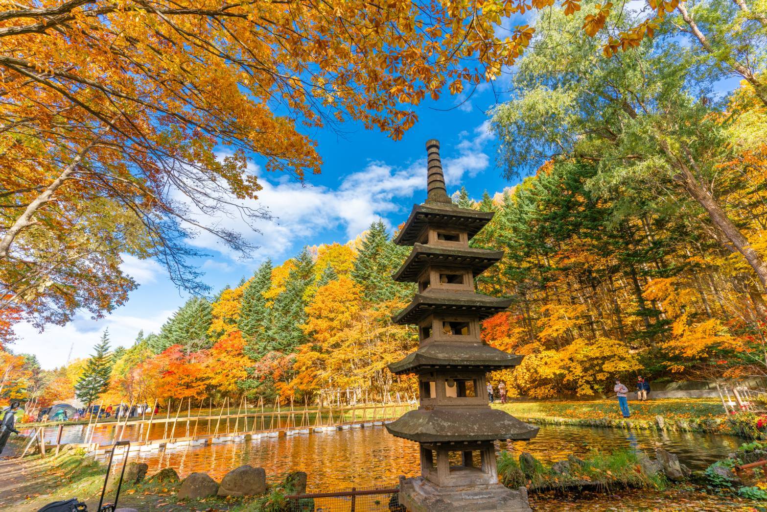 【小樽】色鮮やかなお花から光り輝く
夜景まで小樽の絶景スポット満喫旅
＜建物入場料込み＞ / 北海道の広大な自然に咲く
季節ごとのお花を見に行こう
