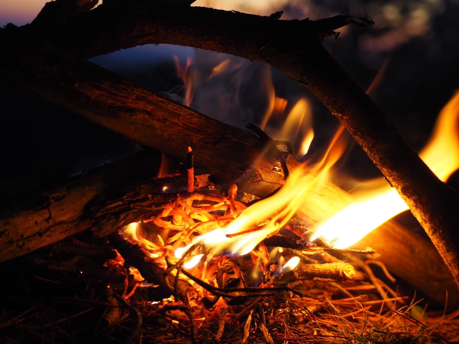 Making firewood and a charcoal-grilled dinner