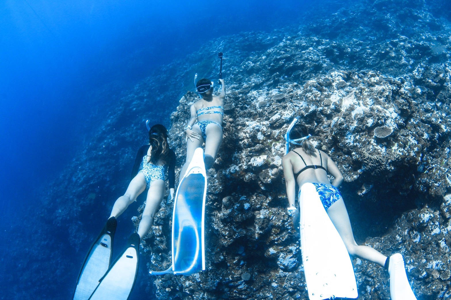 フリーダイバーとカメや魚のいる海で泳ぐ