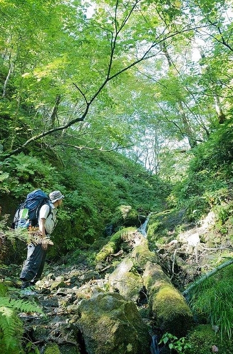 五感を開いて、森を遊ぶ。
一面の白銀世界をひとり占めして
子供の探求心をくすぐる旅 / 北海道の自然博士、みずきさんってどんな人？
