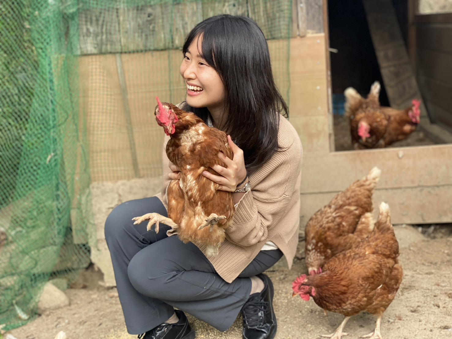 Connect with nature, blend into it, decide nothing and do anything: an Ueyama retreat (1 night, 2 days) / A plan to live with nature and experience it all