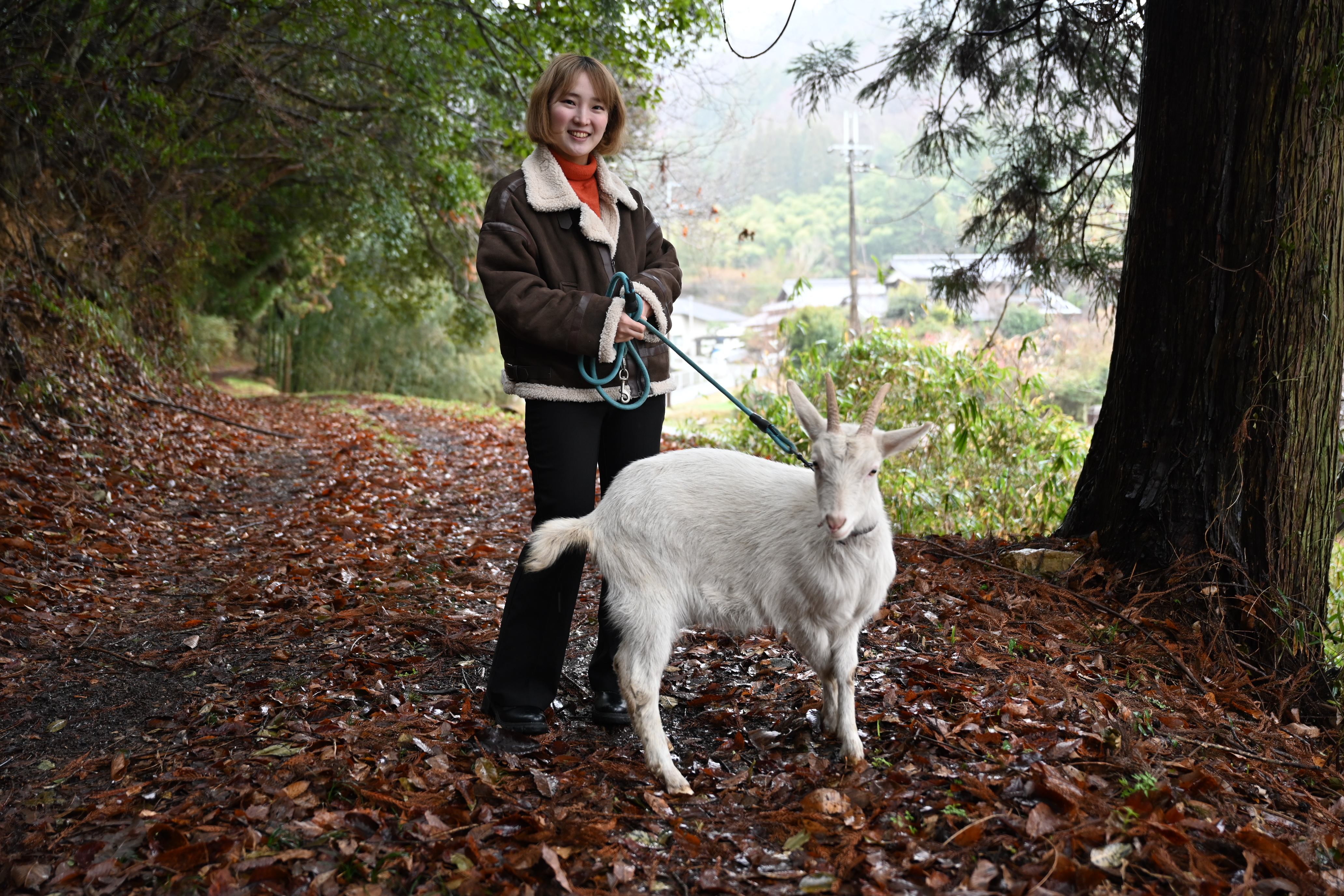 【動物好き必見】個性派ヤギとふれあい体験🐐人懐っこさ120％！笑顔あふれる癒しの時間 / のんびりヤギと一緒にお散歩してみよう！