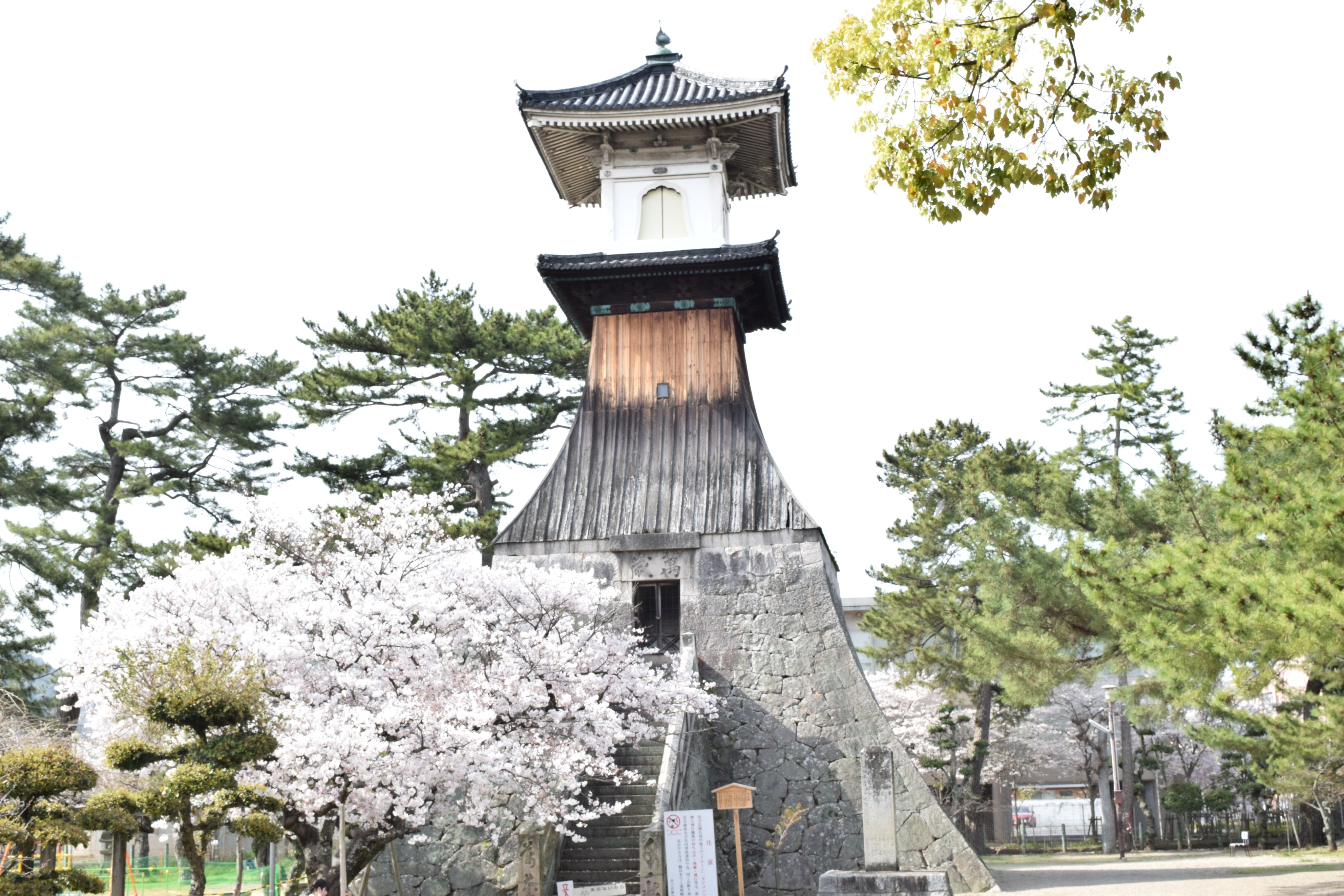 【香川/琴平】聞いて歩けば琴平がもっと好きになる。
あなたも小さな観光大使！池ちゃんの琴平まるわかりまち歩き / 【池ちゃんと町歩き】観光マップにない琴平へ！！