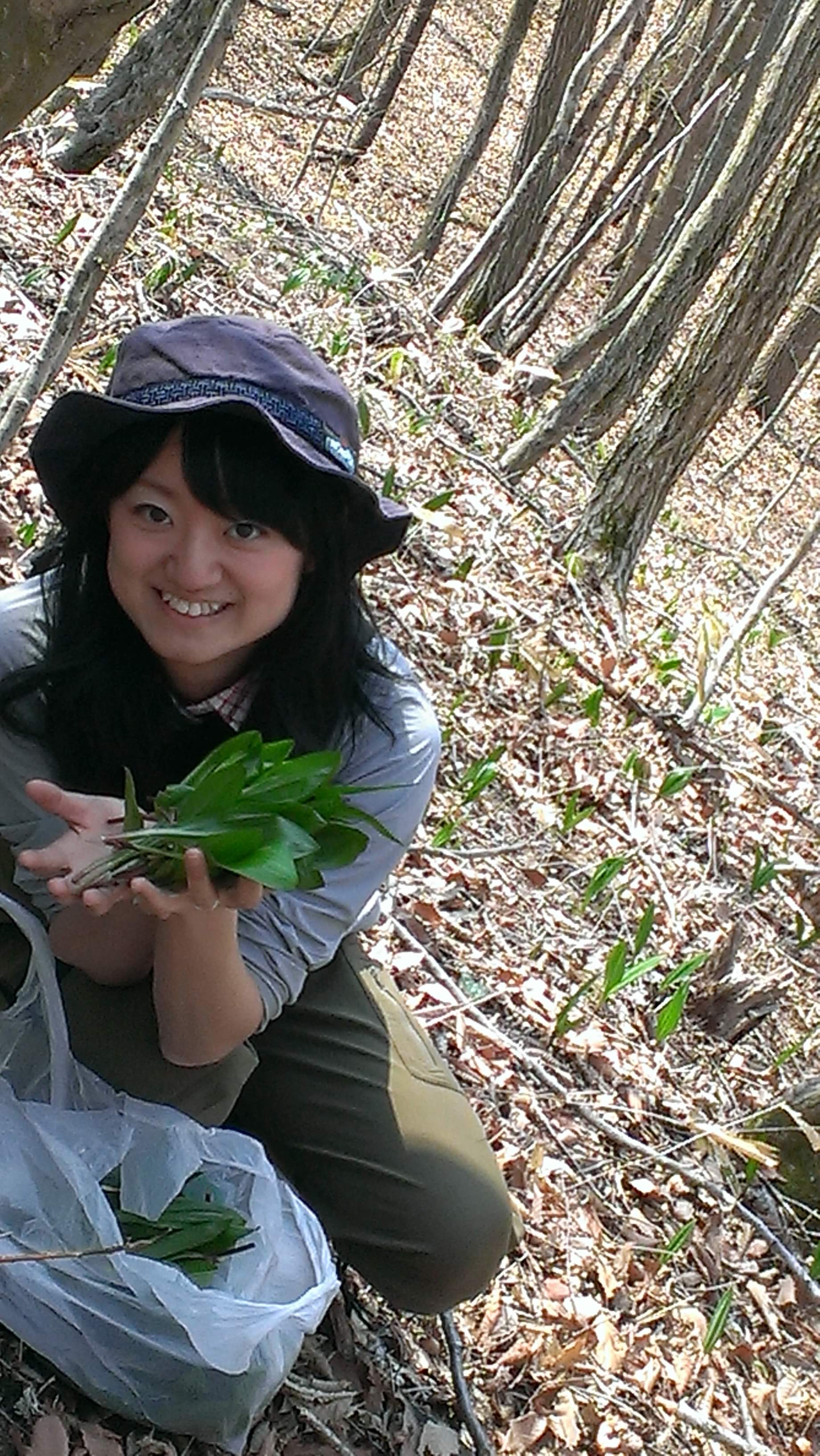 【札幌】北海道の大自然で山菜取り＆山菜入りジンギスカンを堪能する旅
＜昼食付き＞ / 季節を感じる！
北海道の自然の中で山菜取り