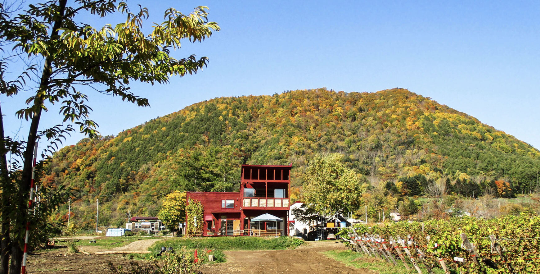 【北海道・札幌】
ぜいたく・まんぷく・ぽかぽか。
ワイナリーで極上デトックスキャンプ⛺ / 八剣山のふもと、ブドウ畑キャンプ場で、
「さっぽろ地ワイン」を楽しむ🍇