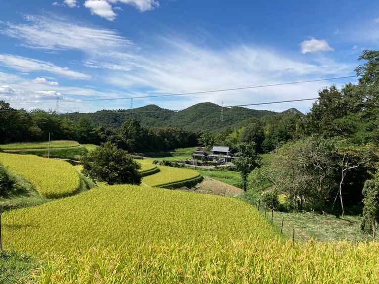Okayama: self-sufficient above the clouds, a villager experience that feels like home / A lookout in the sky: a sea of clouds and rice terraces all to yourself