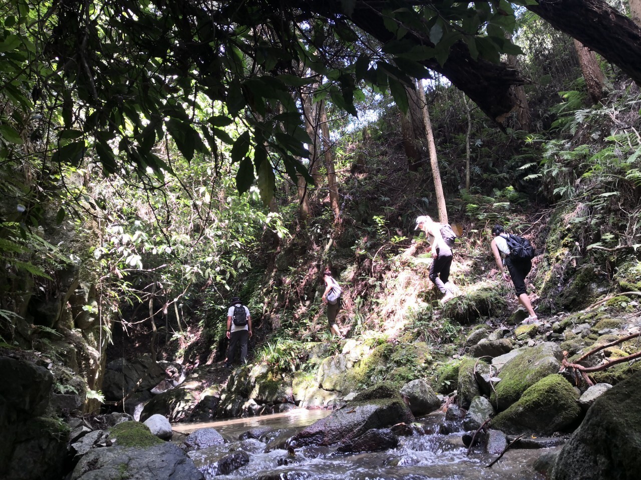A blissful retreat in the arms of nature: forest bathing and a Swedish torch / A waterfall-bathing retreat at a power spot where a dragon is said to live