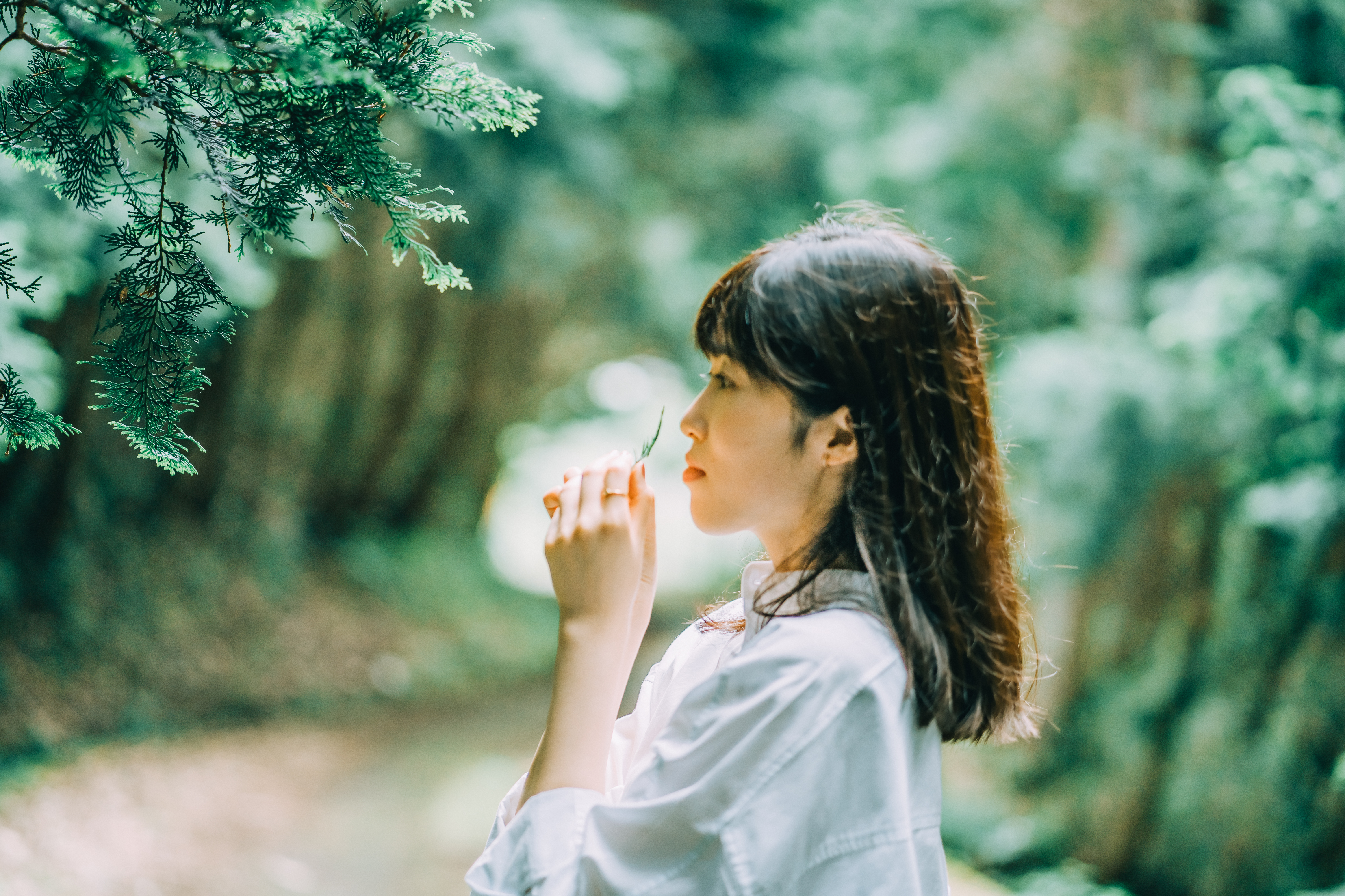 Superb forest bathing guided by a facilitator in a hidden corner of Kansai / Exploring Asuka Village's forest with sharpened senses
