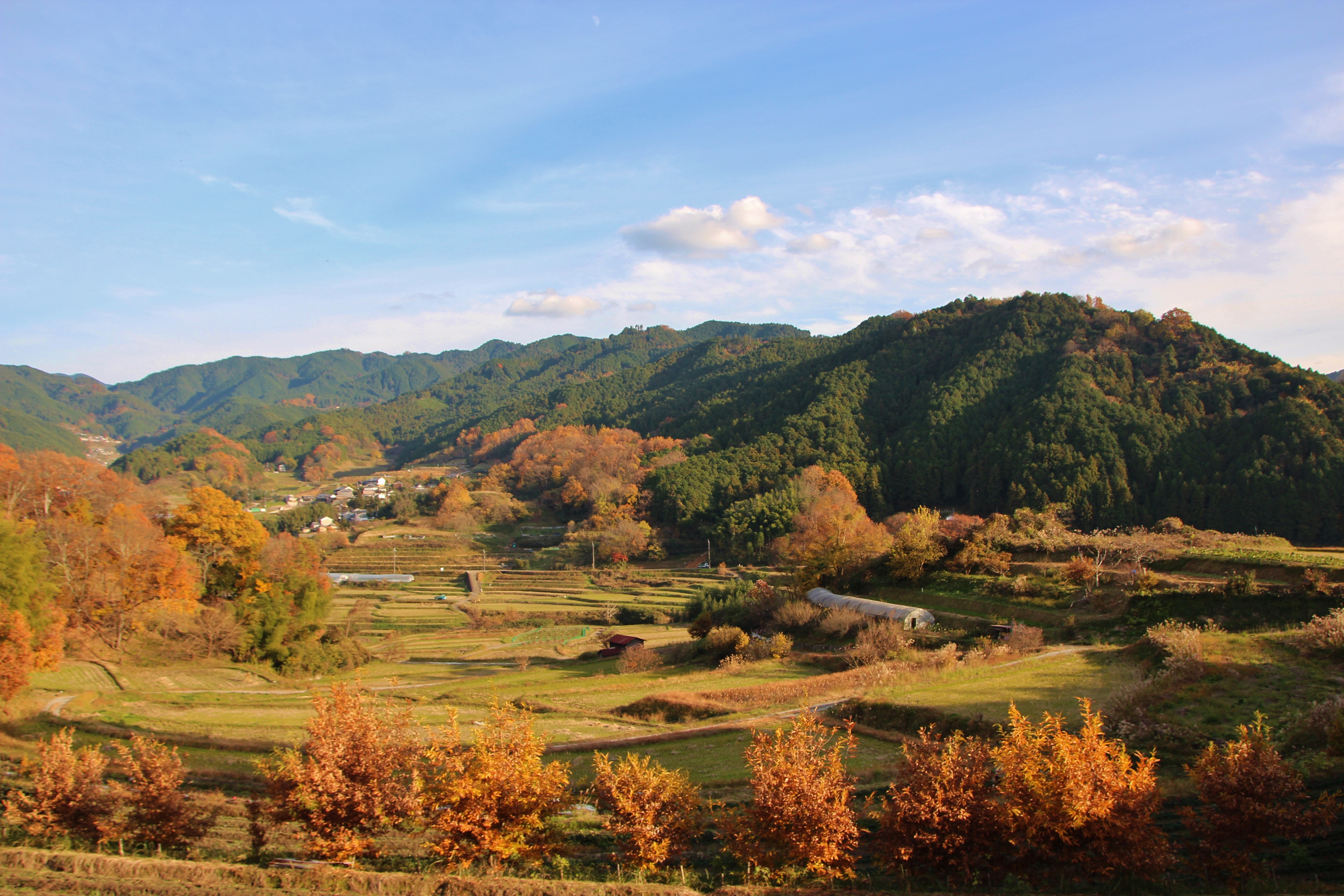 Connecting with and blending into nature: discovering how things connect in a hidden corner of Okayama / Ueyama village, nurturing one of Japan's largest rice terraces: past and future