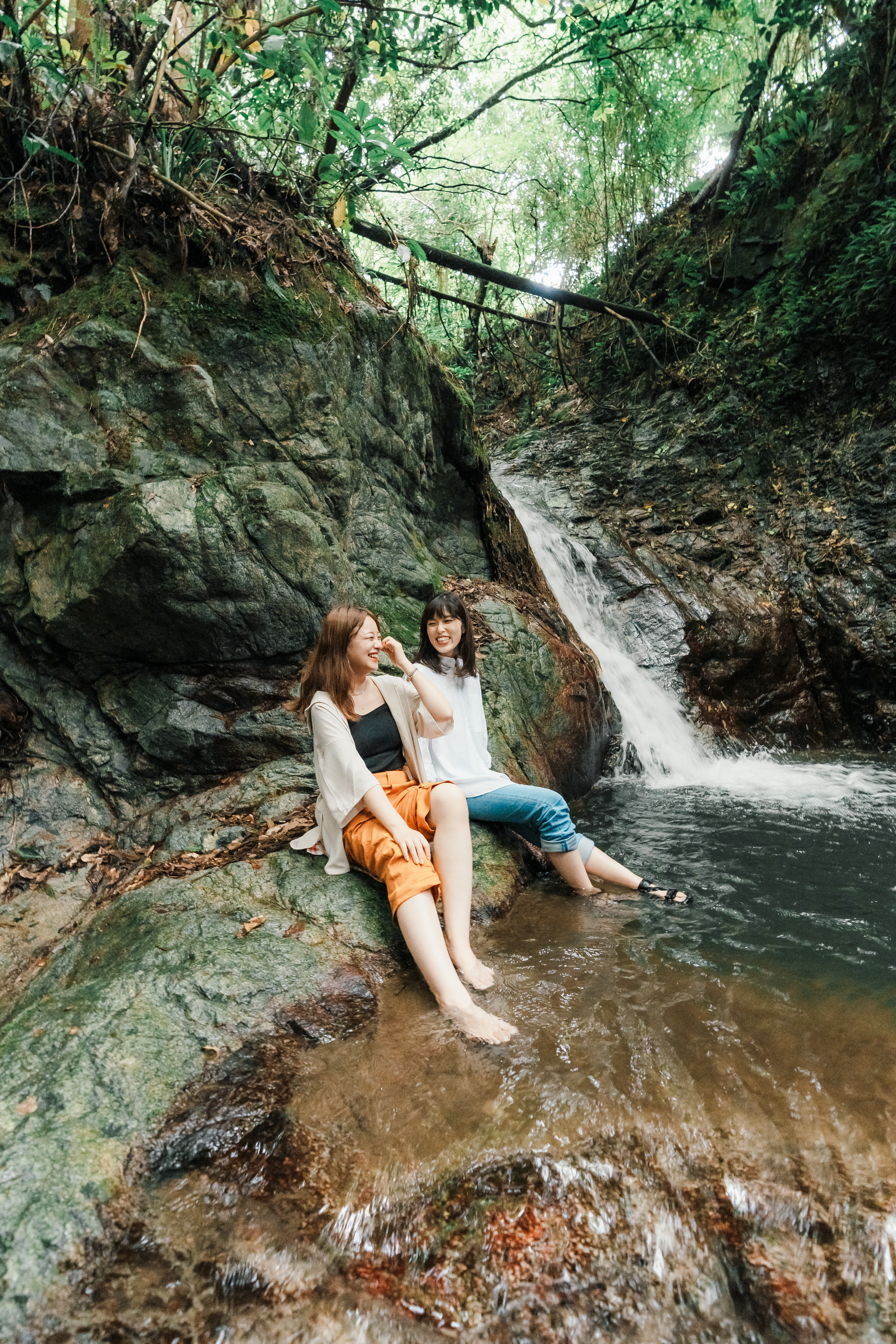 Forest bathing and a campfire lunch in Asuka Village