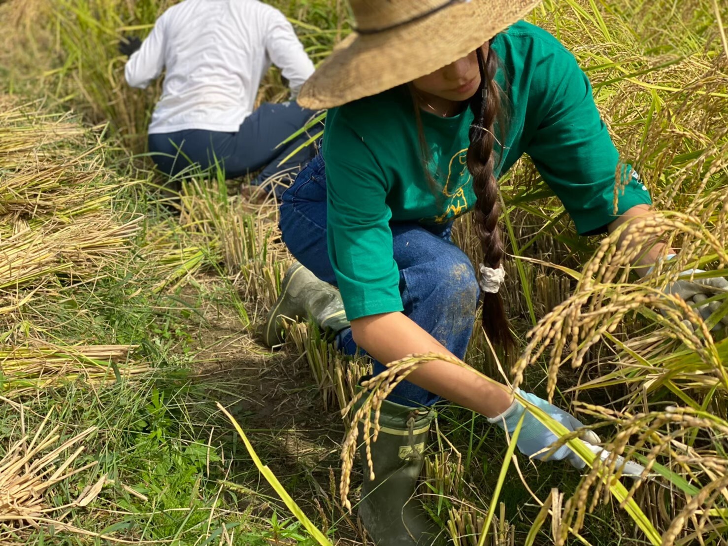 Ueyama village, Okayama: experience self-sufficient life to the full (2 nights, 3 days) / At a glance: what you can do on this plan