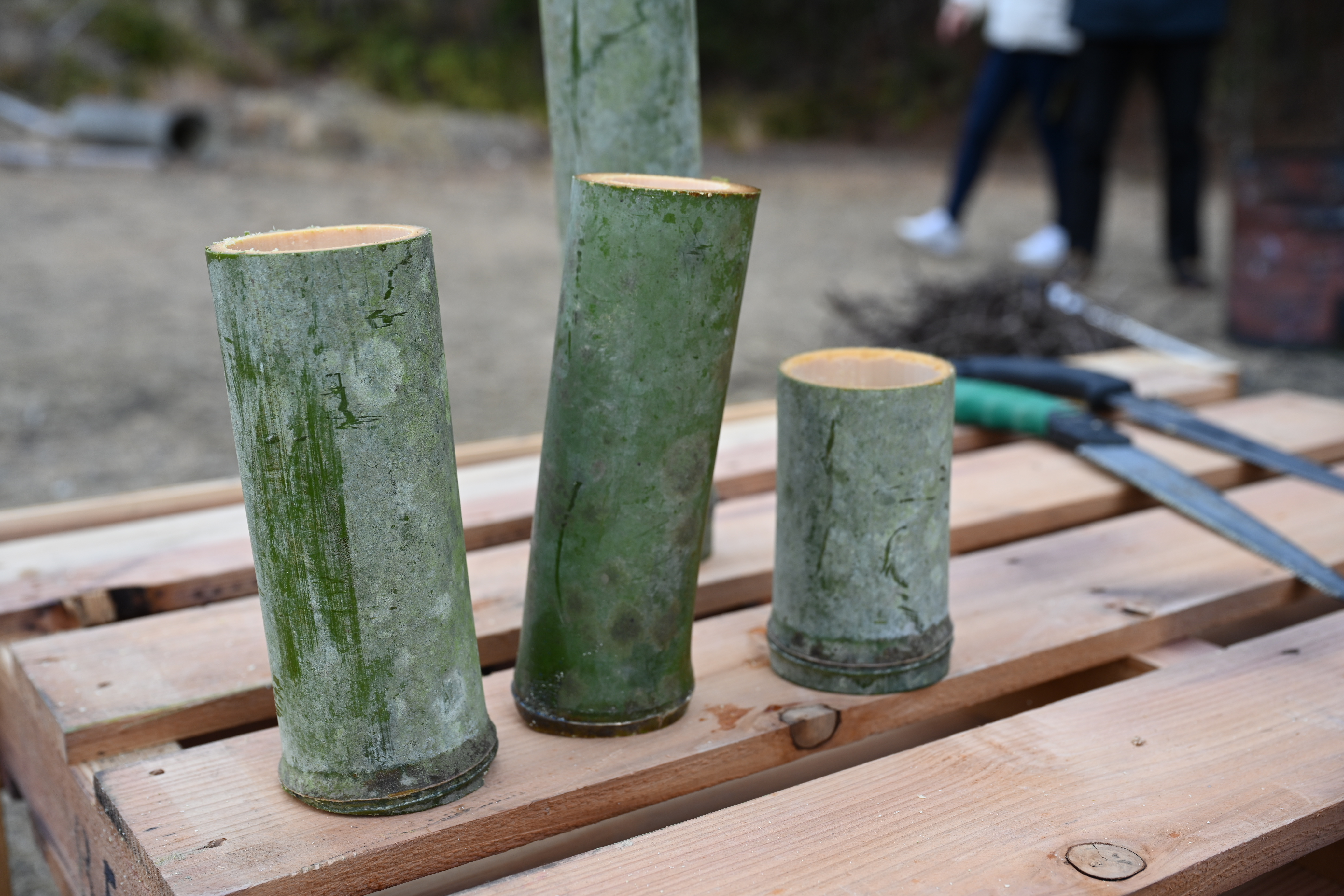 【アウトドア好き必見】竹から作るキャンプギア！愛着がわく竹箸・竹コップ・竹はんごう”作り体験 / いざ実践！竹をきってみよう