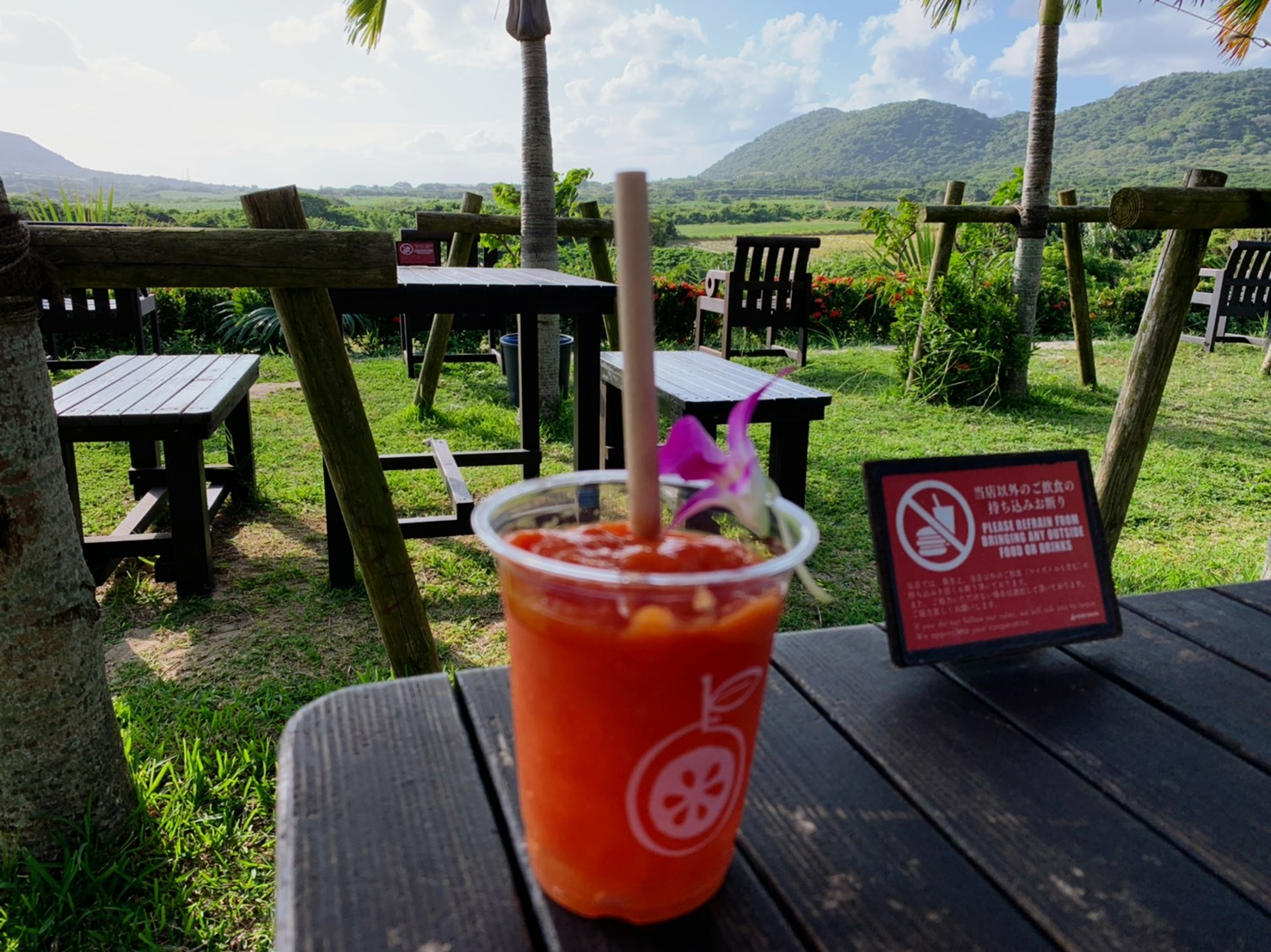 Ishigaki: Instagram-worthy views and hidden spots / Recommended cafés