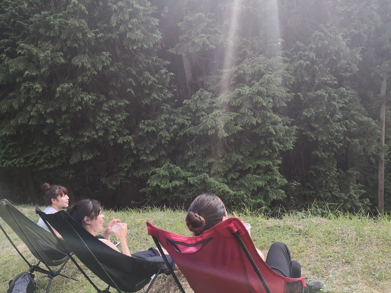 A blissful retreat in the arms of nature: forest bathing and a Swedish torch / Digital detox: a forest retreat guided by a forest bathing facilitator
